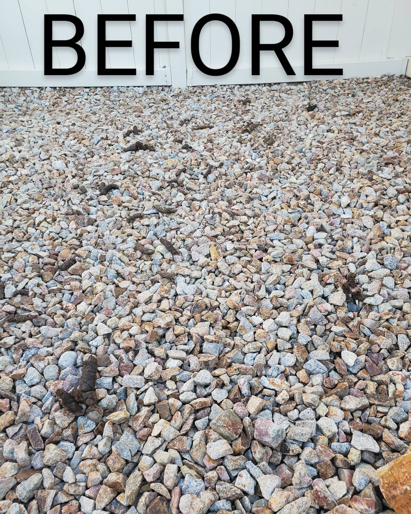 Don't just throw it away TURD IT AWAY!
• Eco-Friendly pooper scooper service • Complete Dog Waste Clean Up & Haul Away
• Scent Relief
• Biodegradable products
• Fecal matter testing (optional)
Call now for a #freeestimate #7024620050 #pooperscooperservice #turditaway #fecalmatter #poop #dogpoop #catpoop #poopoo #turd #haulaway #cleanyard #healthy #feces #environmentalhealth #cleanenvironment