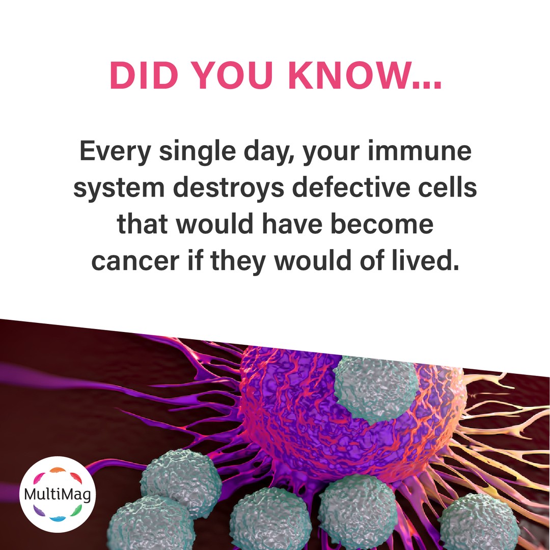 This is why it is sooo important to make sure you have the best fighting chance with a STRONG immune system.â
â
Here are 10 ways to naturally boost your immune health:â
â
đEat a clean dietâ
đGet plenty of sleepâ
đCatch some sun raysâ
đAvoid sweets and refined sugarâ
đMove your body!â
đAdd superfoods to your dietâ
đMaintain good hygiene â
đPractice moderationâ
đTake Supplements & Probioticsâ
â
Many of these things require your own hard work, discipline and self-control, we, on the other hand, can help with the supplement side where you can trust comes from high-grade ingredients. â
â
Our MultiMag (Magnesium, Calcium, and Zinc) are hugely important minerals required for the body to be able to help fight diseases, illnesses and helps support many health problems such as headaches, muscle tension, chest health, regular heartbeat, normal development etc.â
â
Get your monthly supply at
đąwww.multimag.nz