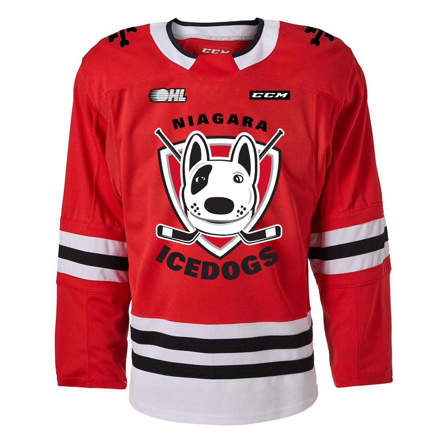 Had the honour in creating a Limited Edition Jersey for the Niagara Ice Dog (based off a happier version of Bones their mascot) Join the fun filled day on March 7th in support of The Education Foundation of Niagara. All jerseys will be auctioned off to raise funds for the charity - Who provide resources to students through bursaries and scholarships, breakfast programs and other programs for students in need.
#niagaraicedogs #hockeyjerseydesigns #ccmhockey #ccm @ohlicedogs #ohl #educationfoundationofniagara