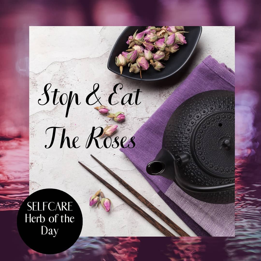 Stop and smell the Roses - to relax to take time out of one's busy schedule to appreciate the beauty of life. .
The same can be said for eating the beautiful petals.. Not only do they add beauty to a dish or your tea pot, but they are highly beneficial!
.
Learn more about the Rose here https://willowb.ca/8/2500
.
#rose #herbalblends #herbaltea #essentialoils #cleaneating #trysomethingnew #naturalbeauty #greenliving #healthylifestyle #healthandwellness #willowb #thechoicetochange #stopandsmelltheroses #stopandeattheroses