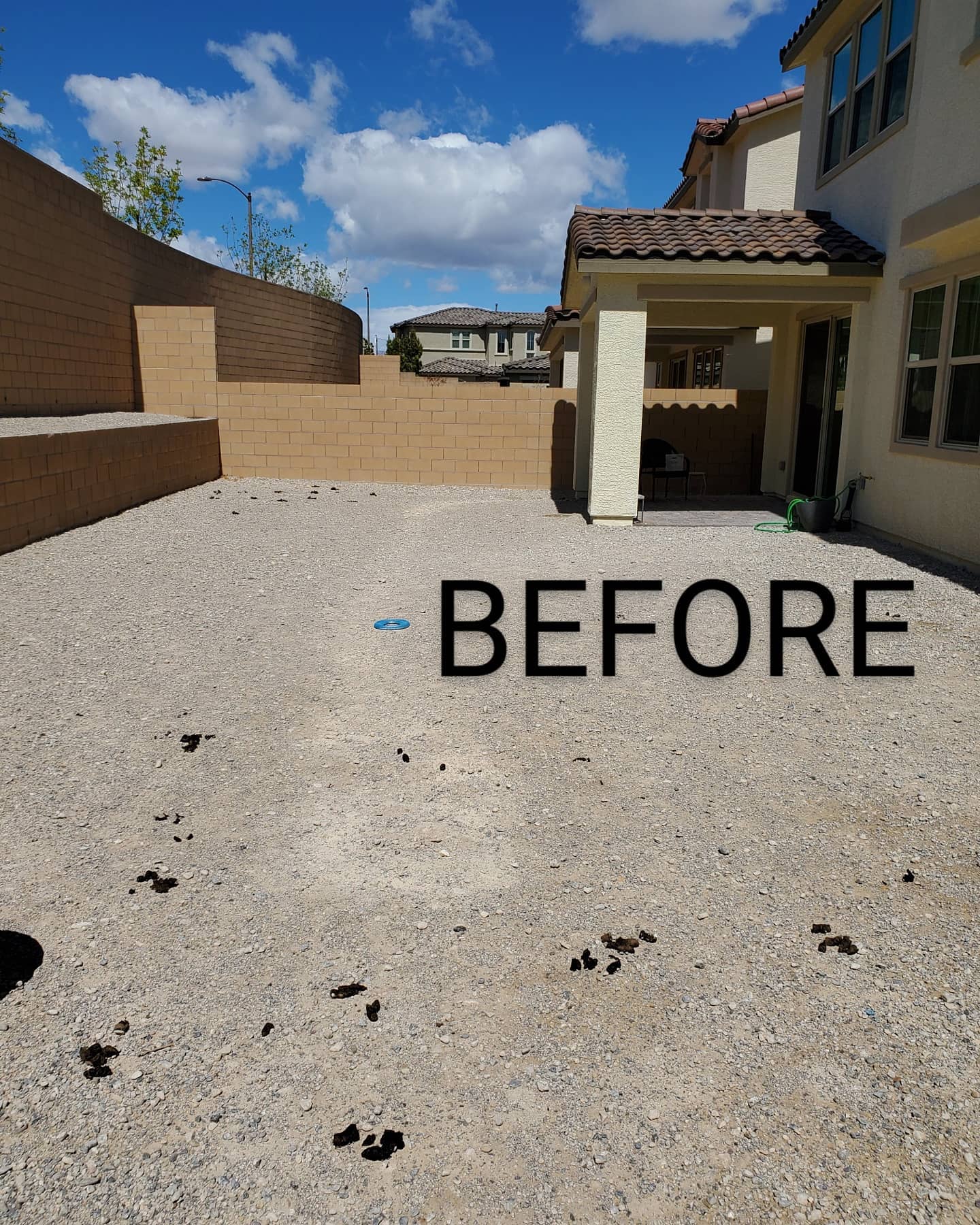 Don't just throw it away TURD IT AWAY!
• Eco-Friendly pooper scooper service • Complete Dog Waste Clean Up & Haul Away
• Scent Relief
• Biodegradable products
• Fecal matter testing (optional)
Call now for a #freeestimate #7024620050 #pooperscooperservice #turditaway #fecalmatter #poop #dogpoop #catpoop #poopoo #turd #haulaway #cleanyard #healthy #feces #environmentalhealth #cleanenvironment #lasvegas