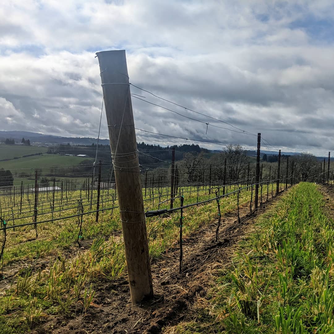 Dropping wires and dodging rain