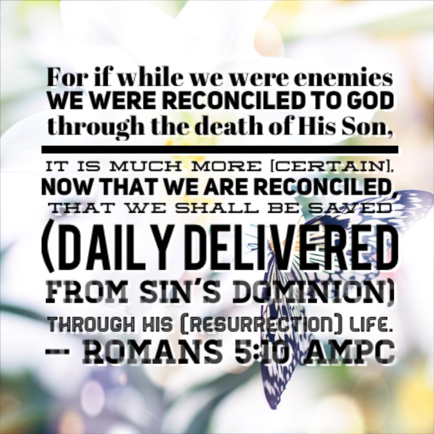 I love how the AMPC translation of Rom. 5:10 highlights the #onedayatatime nature of our Christian walk.
.
“The faithful love of the Lord never ends! His mercies never cease. Great is his faithfulness; his mercies begin afresh each morning.”
— Lamentations 3:22-23 NLT
.
.
.
#greatisthyfaithfulness #sufidelidadesgrande #freshstart #newday #Godislove #Diosesamor