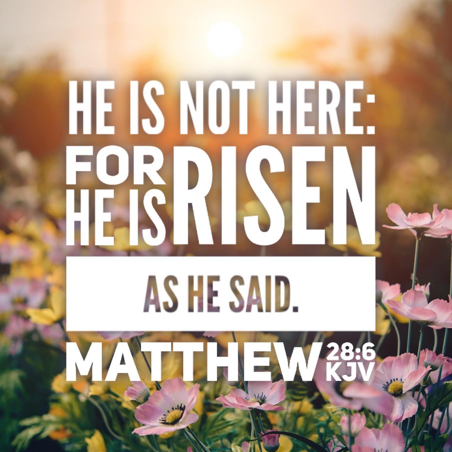 ✨He is risen!✨ The angel who says the verse in the image is one of my favorite characters in the Easter story. I love the almost “Duh!” attitude, the certainty that what Jesus said *obviously* would and did happen. That this shouldn’t really be news to the disciples. But I imagine the line is delivered with a sense of joy that just ripples on out — as the disciples recognize that Jesus is risen, as it actually sinks in for them, on to the day of Pentecost, and on out around the world.
.
He is risen indeed. Thanks be to God for His unspeakable gift!
.
#Easter #Pascua #heisrisen #heisrisenindeed #elharesucitado #joy #alegria