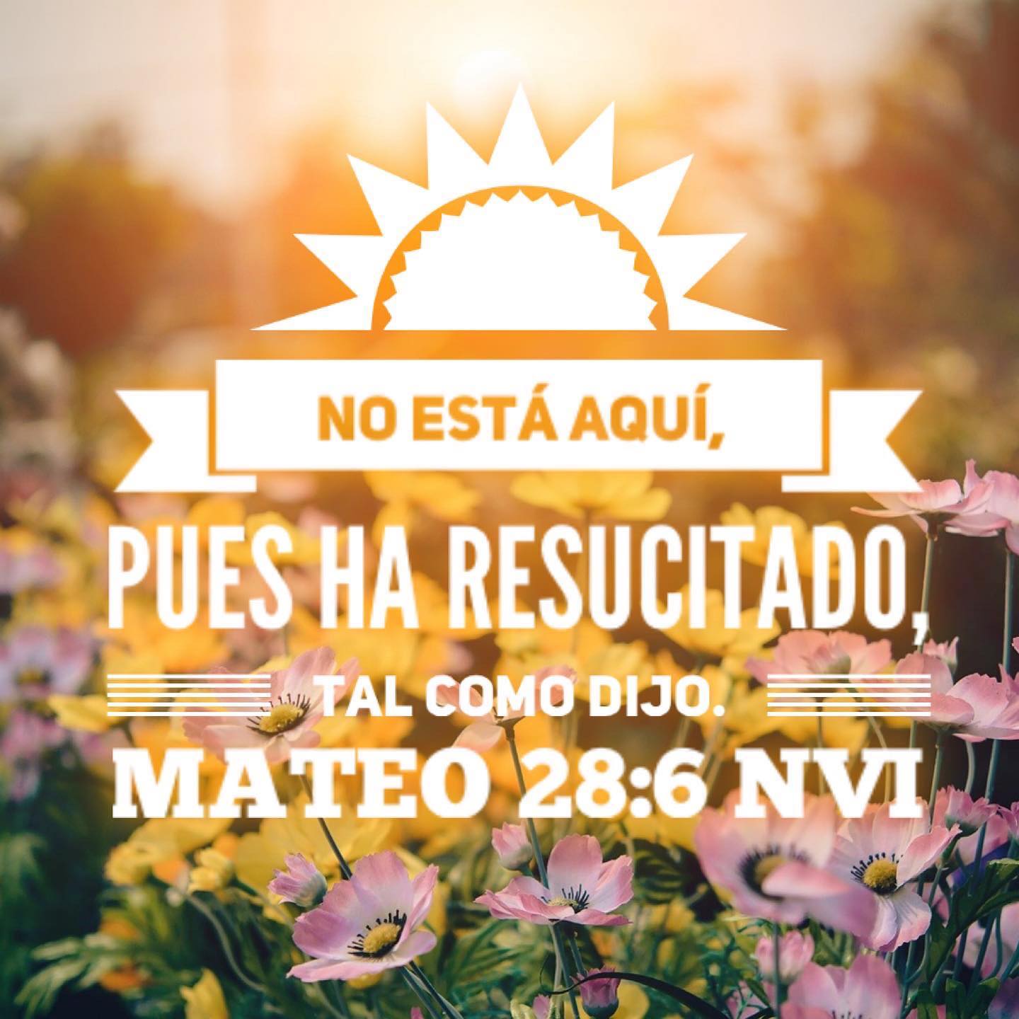 ✨He is risen!✨ The angel who says the verse in the image is one of my favorite characters in the Easter story. I love the almost “Duh!” attitude, the certainty that what Jesus said *obviously* would and did happen. That this shouldn’t really be news to the disciples. But I imagine the line is delivered with a sense of joy that just ripples on out — as the disciples recognize that Jesus is risen, as it actually sinks in for them, on to the day of Pentecost, and on out around the world.
.
He is risen indeed. Thanks be to God for His unspeakable gift!
.
#Easter #Pascua #heisrisen #heisrisenindeed #elharesucitado #joy #alegria