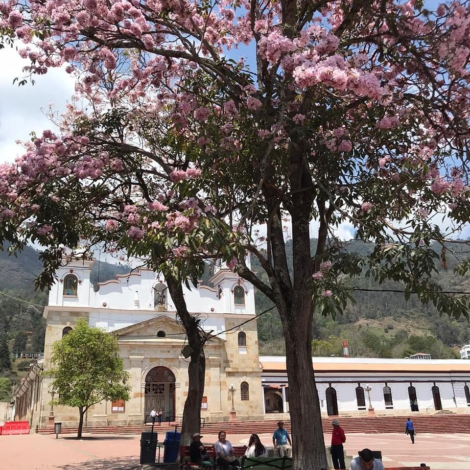 Probably the most difficult climb close to Bogota.
We must mention the two things that make this #mountain a complete epic #ride :
1. The total distance of the climb , 22 km 💪.
2. The summit is at 3200 meters , just where the clouds begin
Choachí - Páramo el Verjón
Length climb: 22.59 km
Start elevation: 1887 m
Summit elevation: 3232m
Elevation gain: 1344m
Gradient (avg): 6%
Gradient (max): 14%
Colombia is for climbers
in Colombian Beetle we love climbing and we have tours where we want to share this love for the mountains.🏔️ ❤️ #roadcycling #whereiride
#cyclingporn #cyclingpassion #cyclingparadise #colombia
#cyclingdestinations