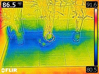 Leaking shower wall. Moisture shows up as blue in the thermal image than verified with a moisture meter.