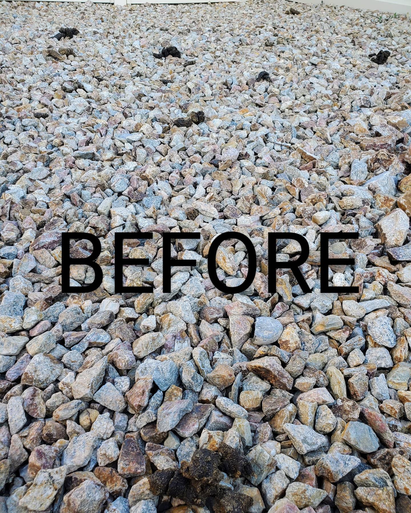 Don't just throw it away TURD IT AWAY!
• Eco-Friendly pooper scooper service • Complete Dog Waste Clean Up & Haul Away
• Scent Relief
• Biodegradable products
• Fecal matter testing (optional)
Call now for a #freeestimate #7024620050 #pooperscooperservice #turditaway #fecalmatter #poop #dogpoop #catpoop #poopoo #turd #haulaway #cleanyard #healthy #feces #environmentalhealth #cleanenvironment #lasvegas