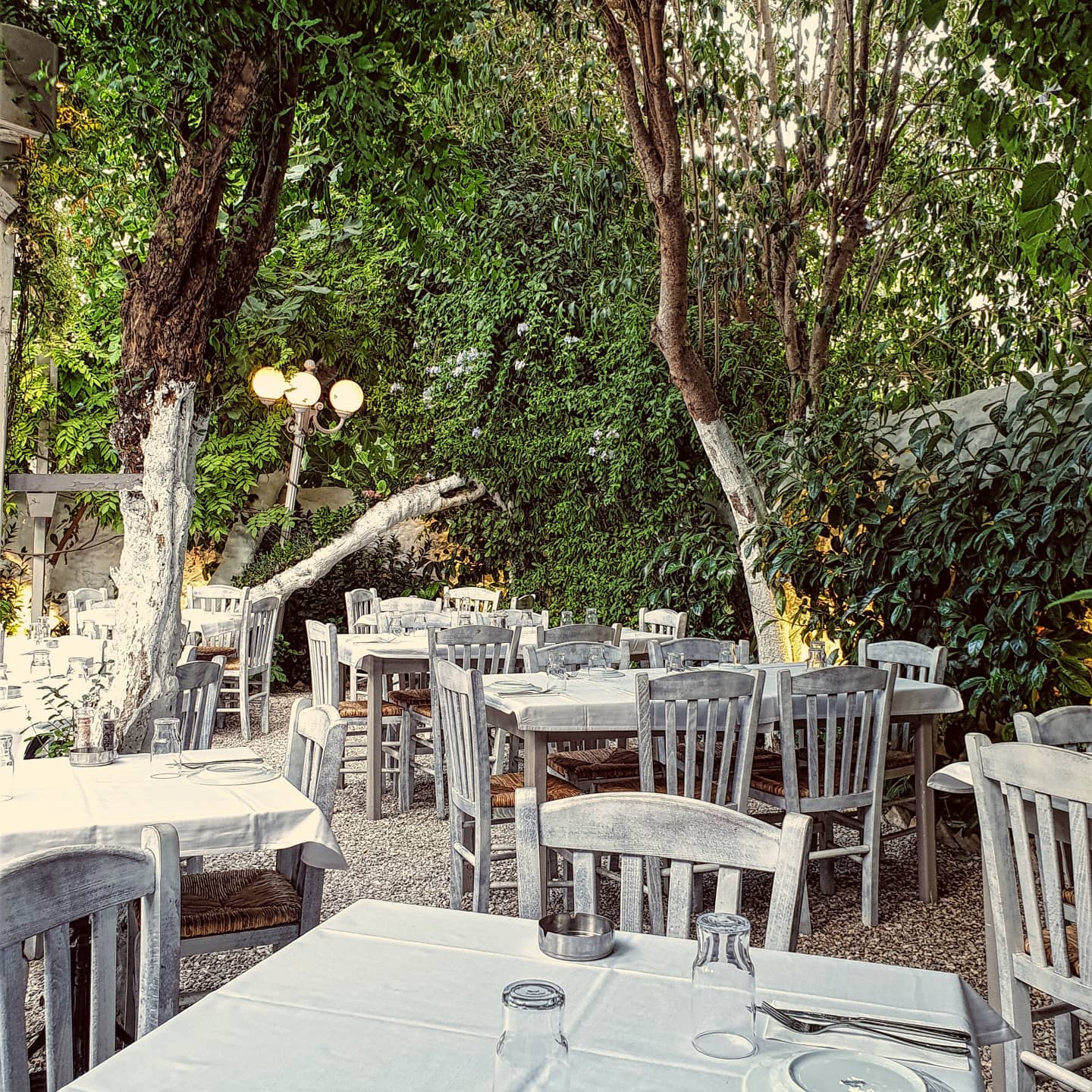 Γενναίου Κολοκοτρώνη 66, Κουκάκι.
T.2114052418.
Reservations. www.kouvelos.com