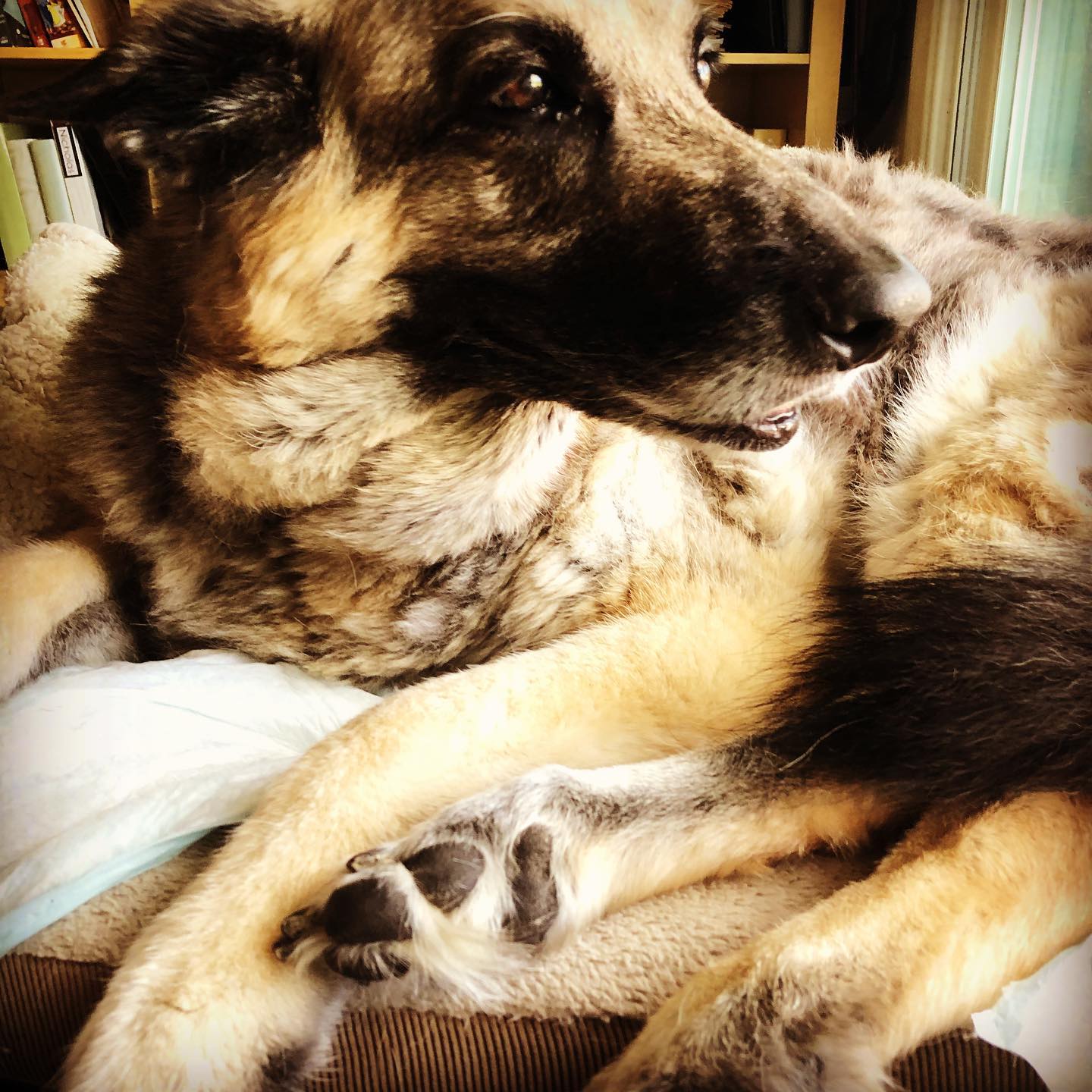 Isis. The Queen. Forever have my love.