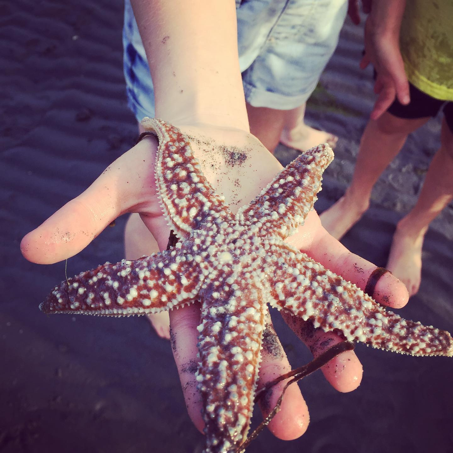You do not have to travel to find the sea, for the traces of its ancient strands are everywhere about. - Rachel Carson, The Sea Around Us