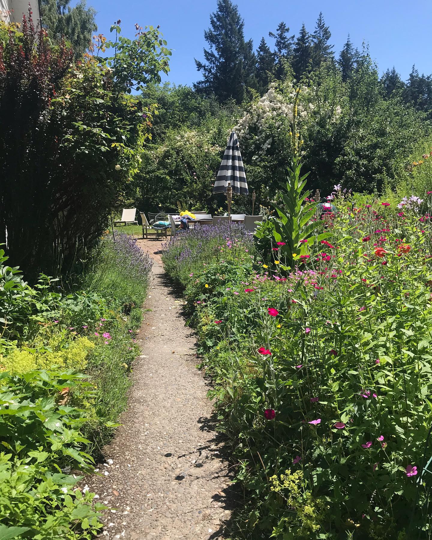 A Path with Heart🦋