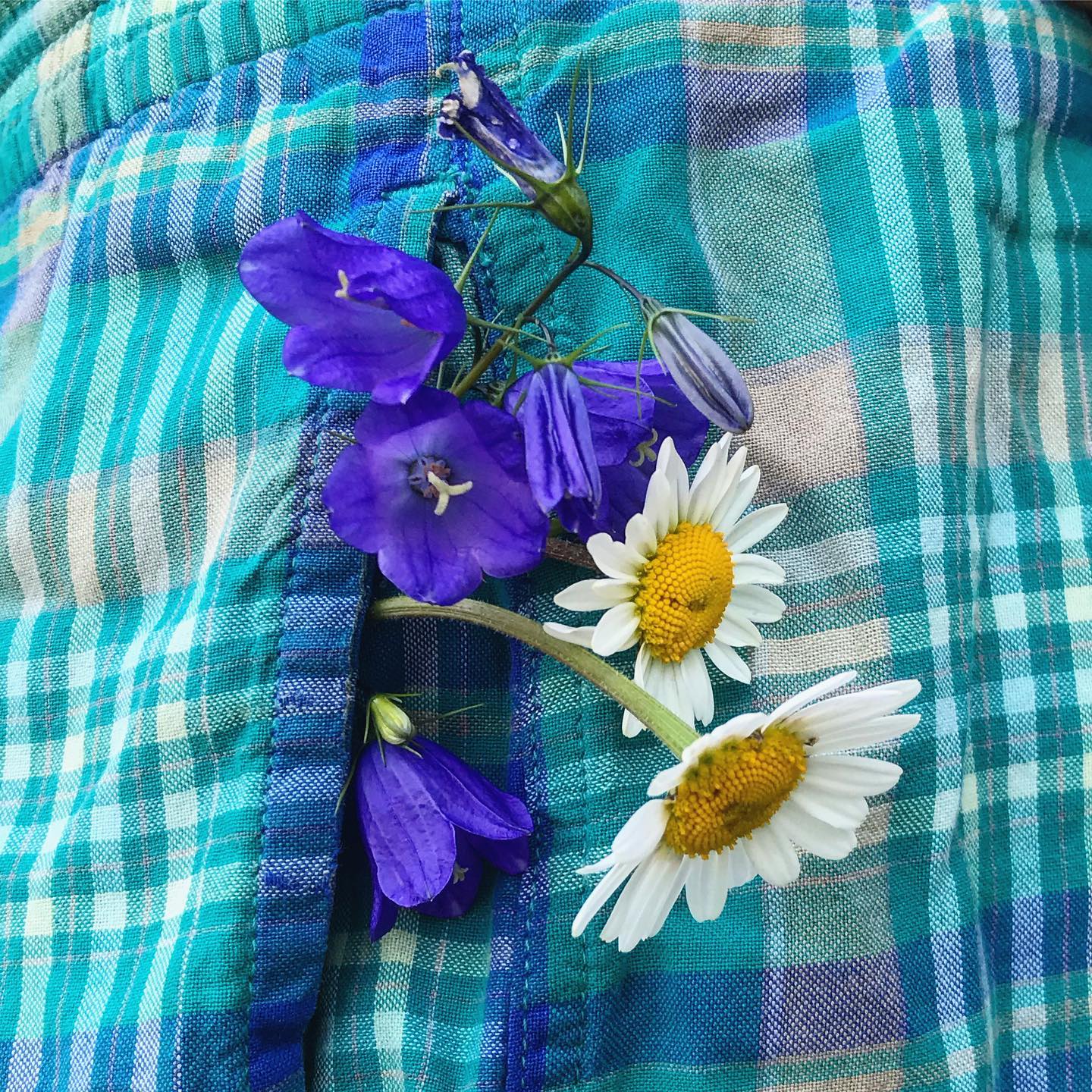 Mood 🌻
Squares coming soon 😇