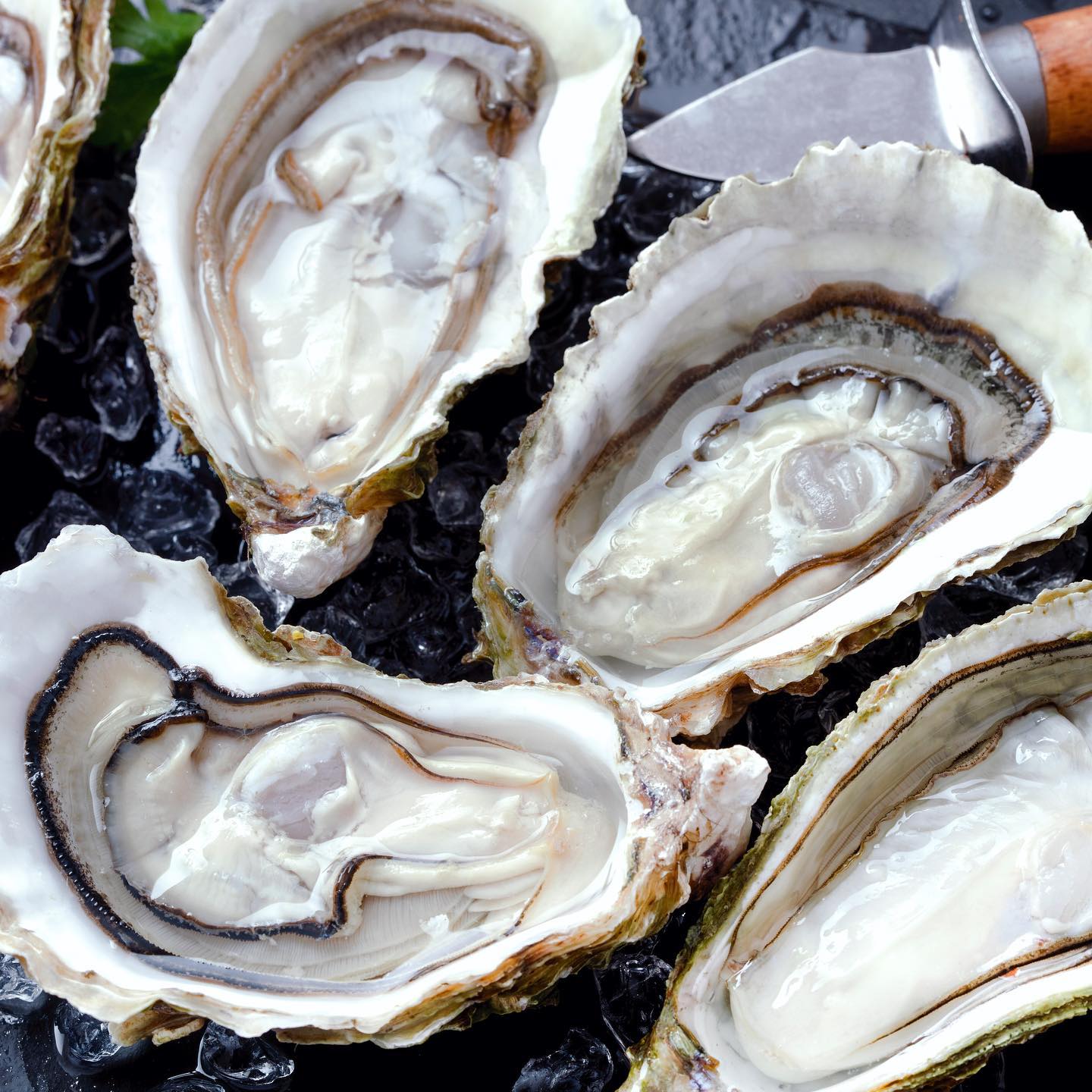 Who loves oysters? We set up an oyster bar for you and your guests!
#charleston #charlestonoysters #charlestonsc #oysters #charlestonlife #lowcountrycatering #lowcountrywedding #charlestonwedding #charlestonfood #charlestonfoodie