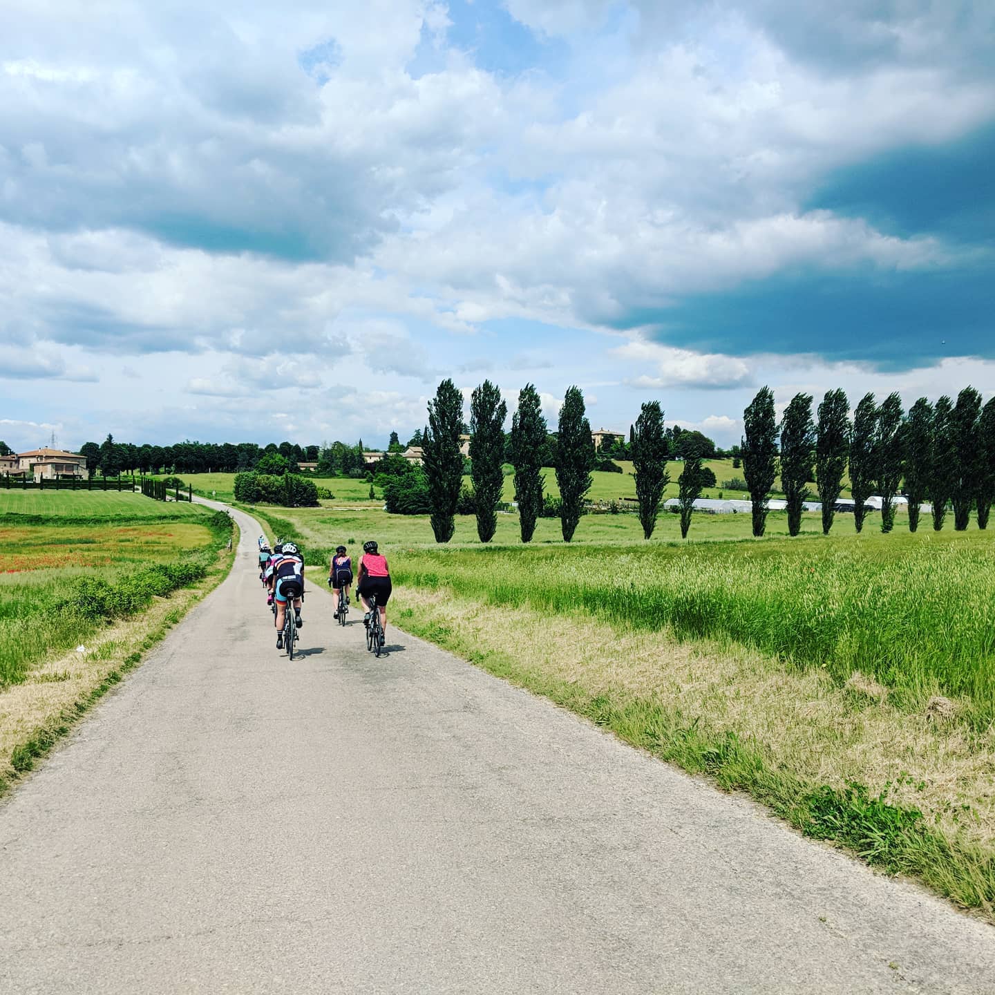 Cypress bomen in het Toscaanse landschap...🤗🚴♀️ ☀️🇮🇹
https://www.etappecyclingtours.com/evenementgegevens/tuscan-ride
#tuscanycycling #italycycling #wielertoerist #ntfu #terranosystems #EtappeCyclingTours