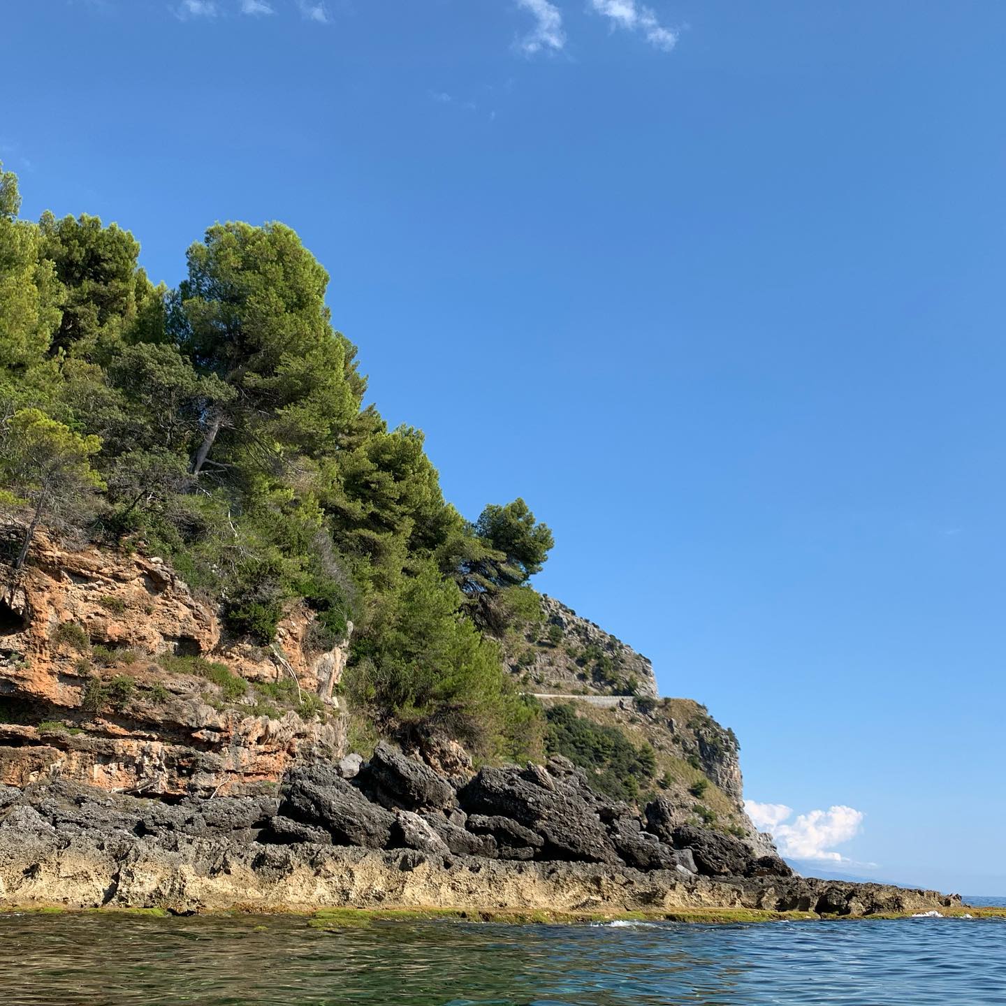 La lotta tra conifere, ginepro, carrubi e mare a strapparsi l’ultimo scoglio si fa dura.
Qui è Renireddu.
Solo qui é #maratea