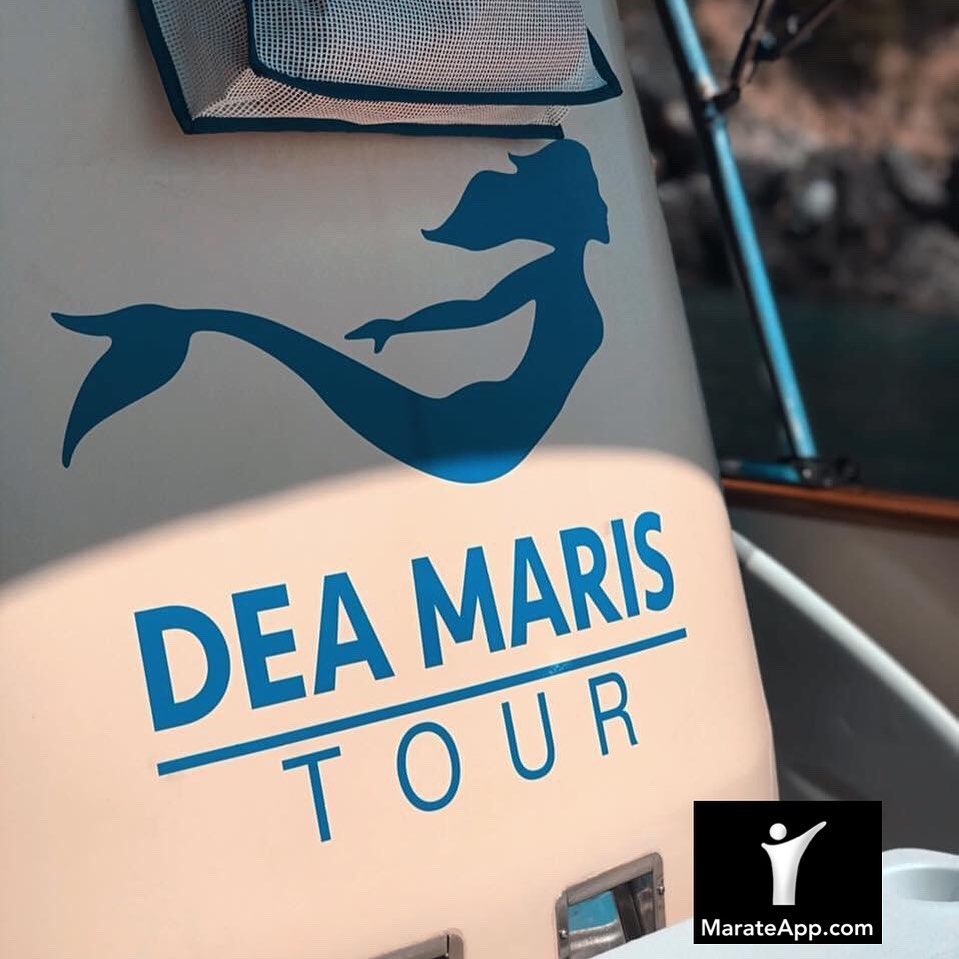 Maratea ha una costa meravigliosa in parte raggiungibile solo dal mare.
Con Luca e la sua DeaMaris, partner di MarateApp, puoi conoscere i posti più incredibili, tuffarti nel mare più blu e navigare ammirando le montagne che si tuffano in mare!
Escursioni uniche, personalizzate per godere di ogni angolo della costa 😍 Cosa aspetti? Chiama il numero 3474060598 o scrivi all’indirizzo deamaristour@gmail.com e visita la pagina Facebook ed Instagram @dea_maris_ 💯💯💯💯