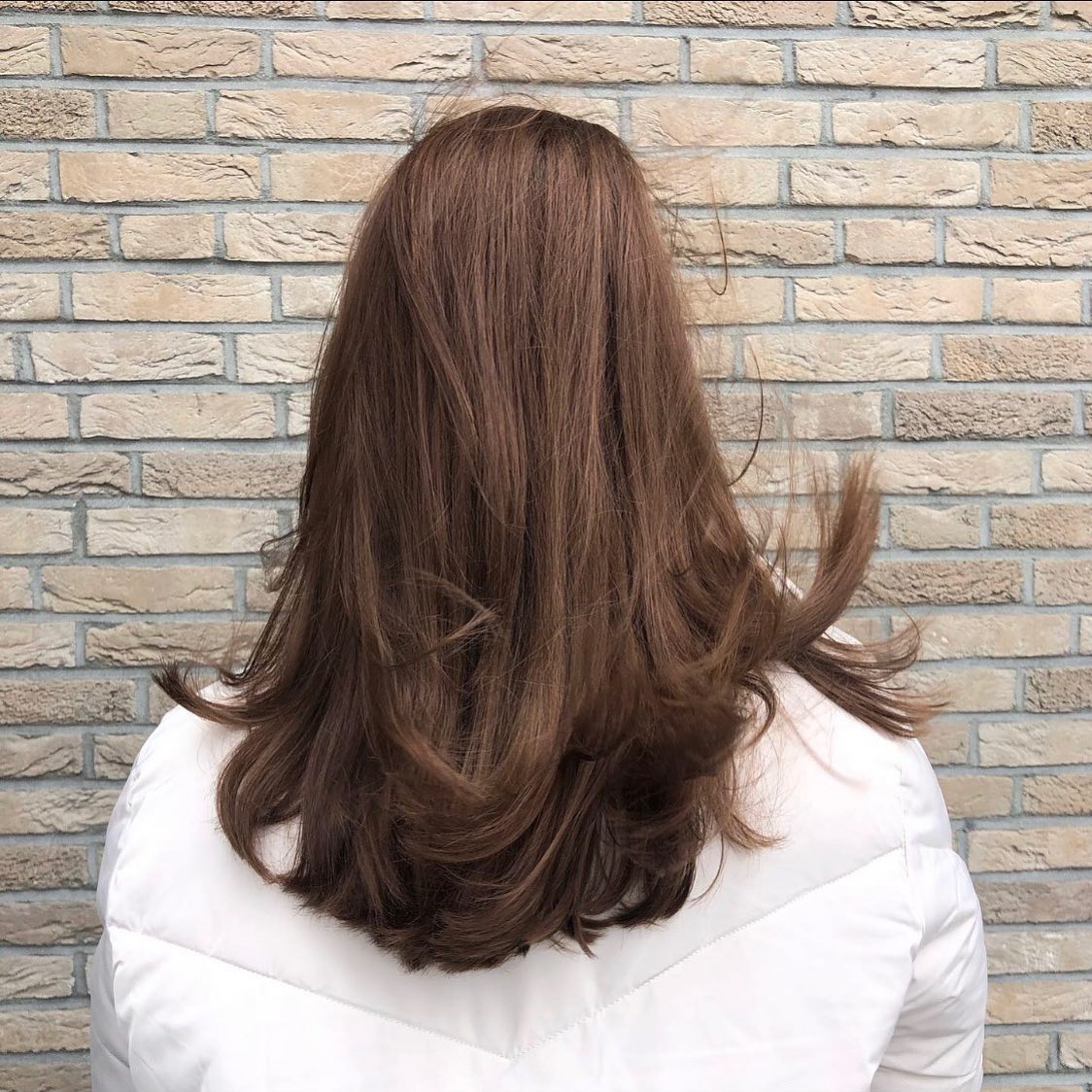 BROWNIE.BROWNIE #kevinmurphy #colormebykevinmurphy #colorme