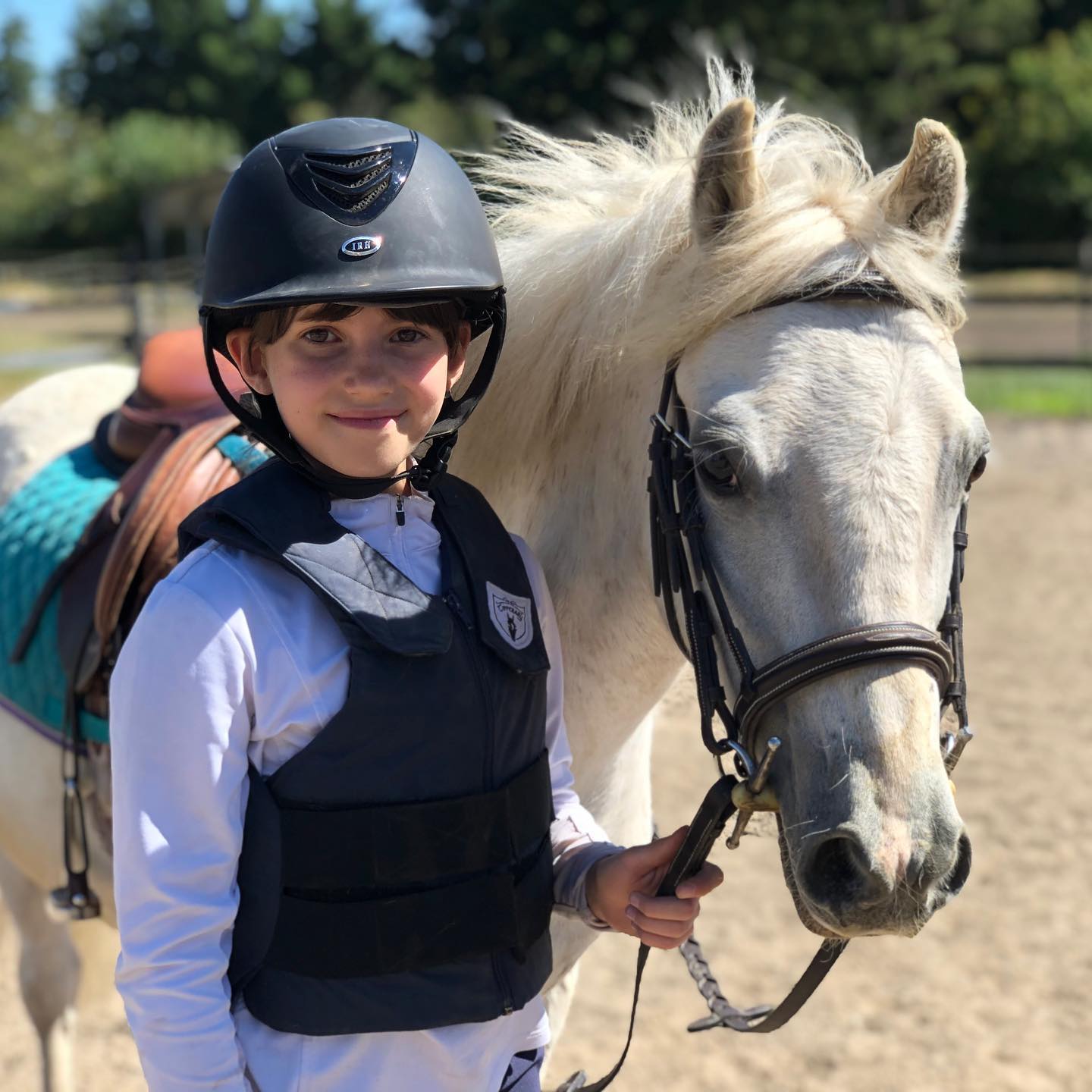 #showjumpingpony #ponylife #whitepony #ponyrider #littleequestrian