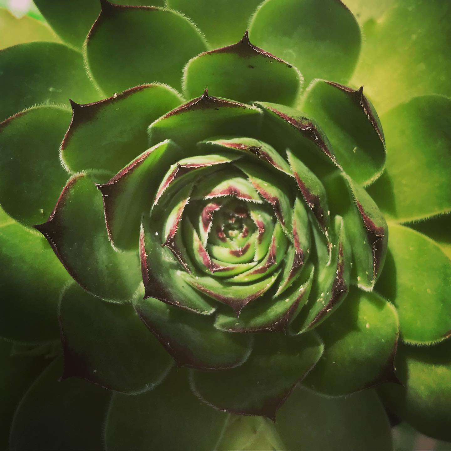 Believe in the holy contour of life.
~ Jack Kerouac
