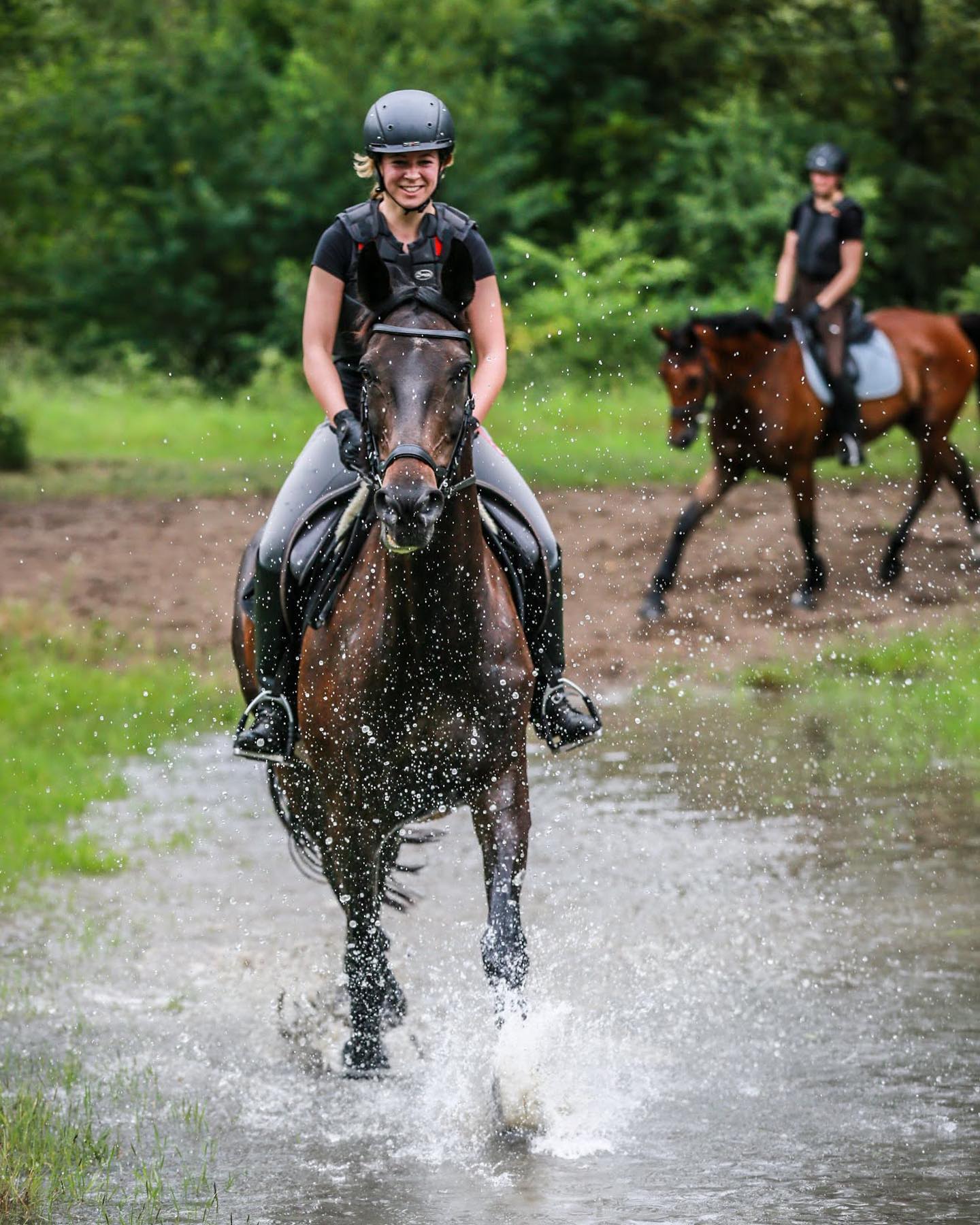 What an interesting year... so it is time to explore some new fields 🐎🐕 of photography and I am falling straight in love 😍 . What do you think of it? #photography #horse #horsesofinstagram #pferdefotografie #pferdeliebe #berlin