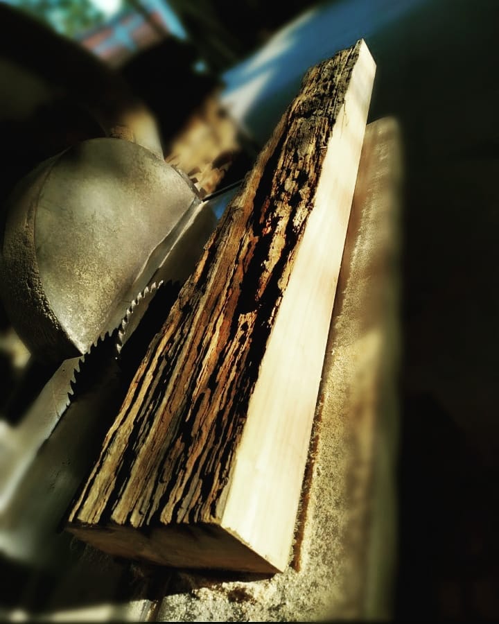 Enxergamos possibilidades no improvável. Dando destino para as madeiras a tempos esquecidas.