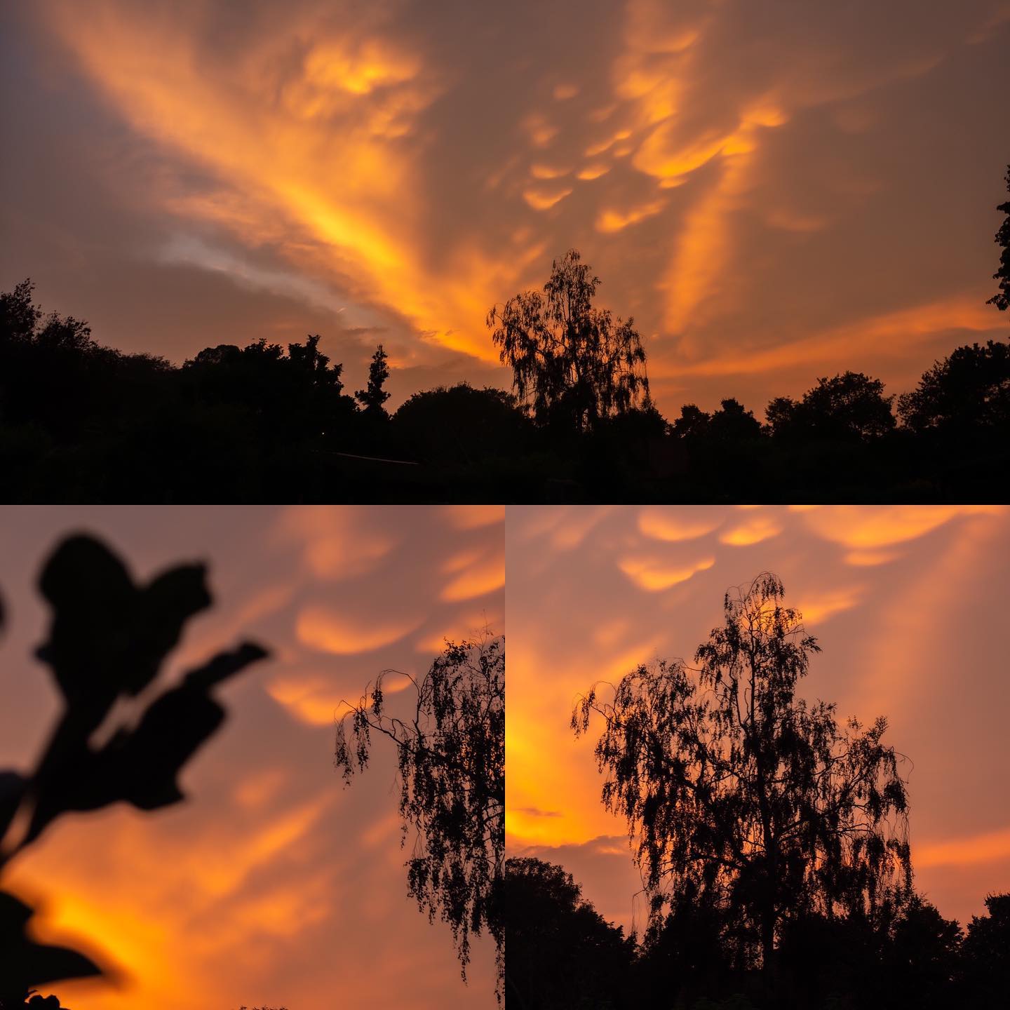 Epic clouds ☁️
#panasonicg9 #olympusphotography