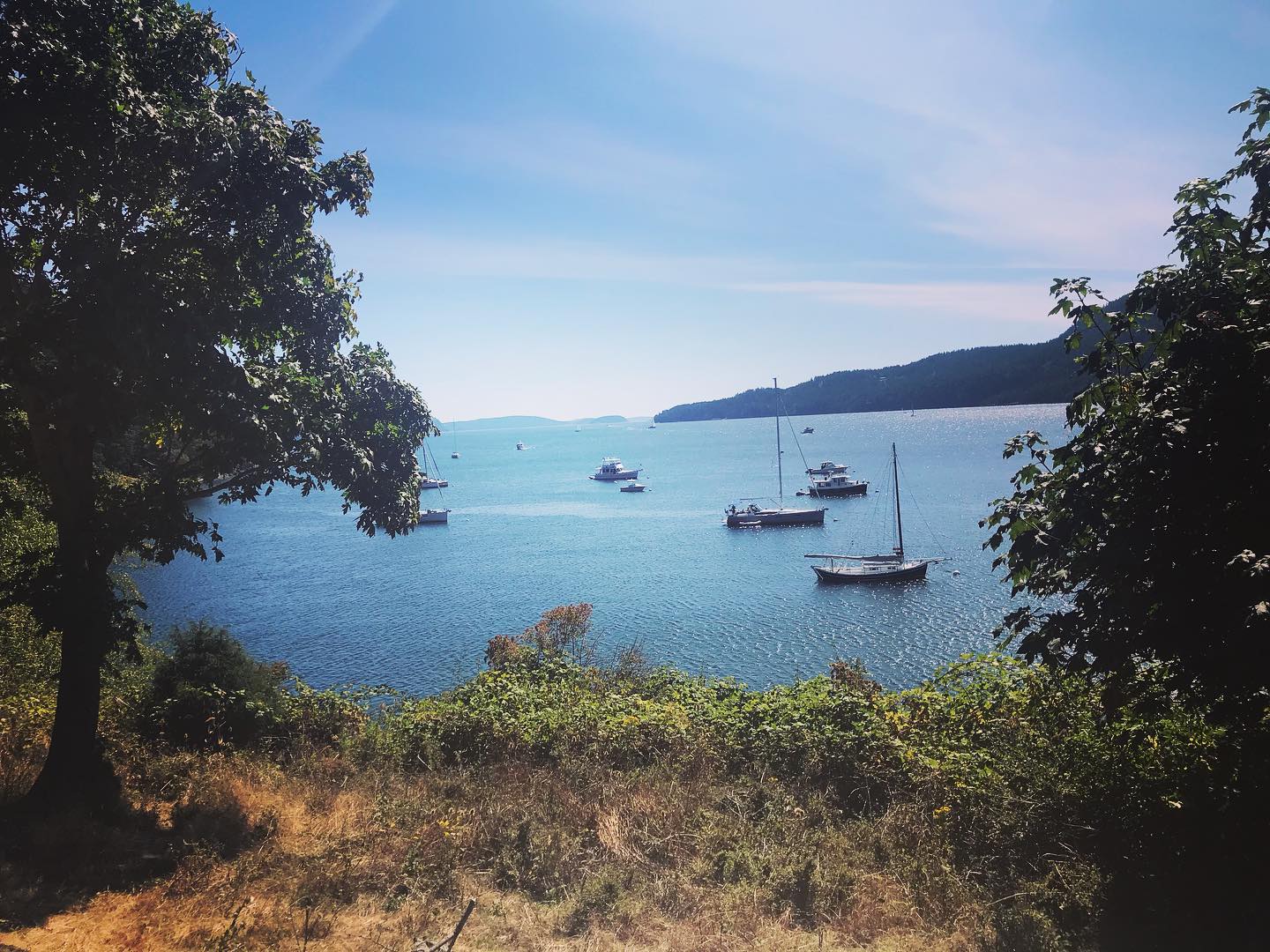Exultation Is The Going~
🌊
Exultation is the going 
Of an island soul to sea-
Past the houses past the headlands,
Into deep Eternity!
Bred as we, among the mountains,
Can the sailor understand
The divine intoxication
Of the first league out from land?
- Emily Dickinson
🌊