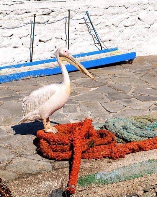 Dreaming of sea & sun with some friends.