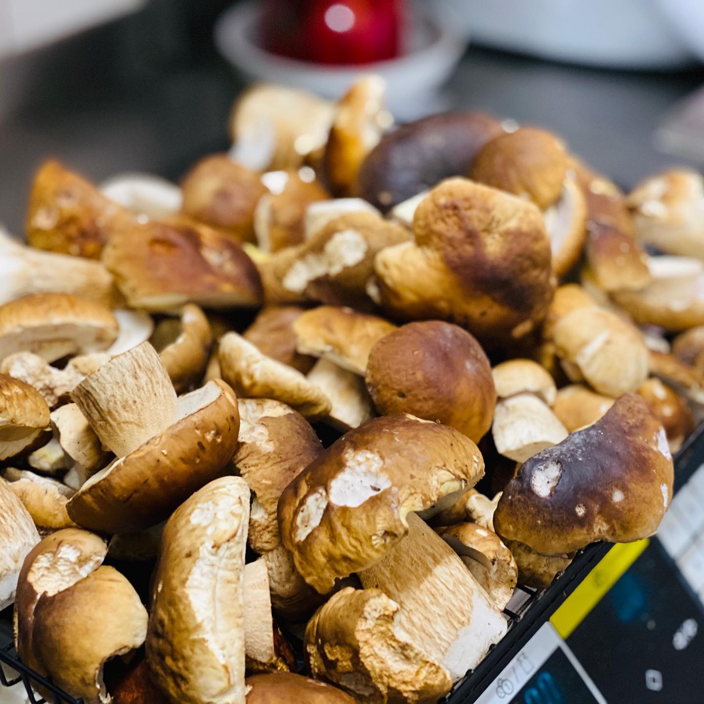 Bílé hřiby jako malované. 🖌 Na lístku je najdete koncem týdne s přeštickým čuníkem 🐷 a špeclemi. Tak se stavte, budeme se na Vás těšit. 🙋♂️
#hriby #farma #praha #market #restaurace #artfood
#mushrooms #farm #art #food #foodlover #foodie #yummy #prague #restaurant