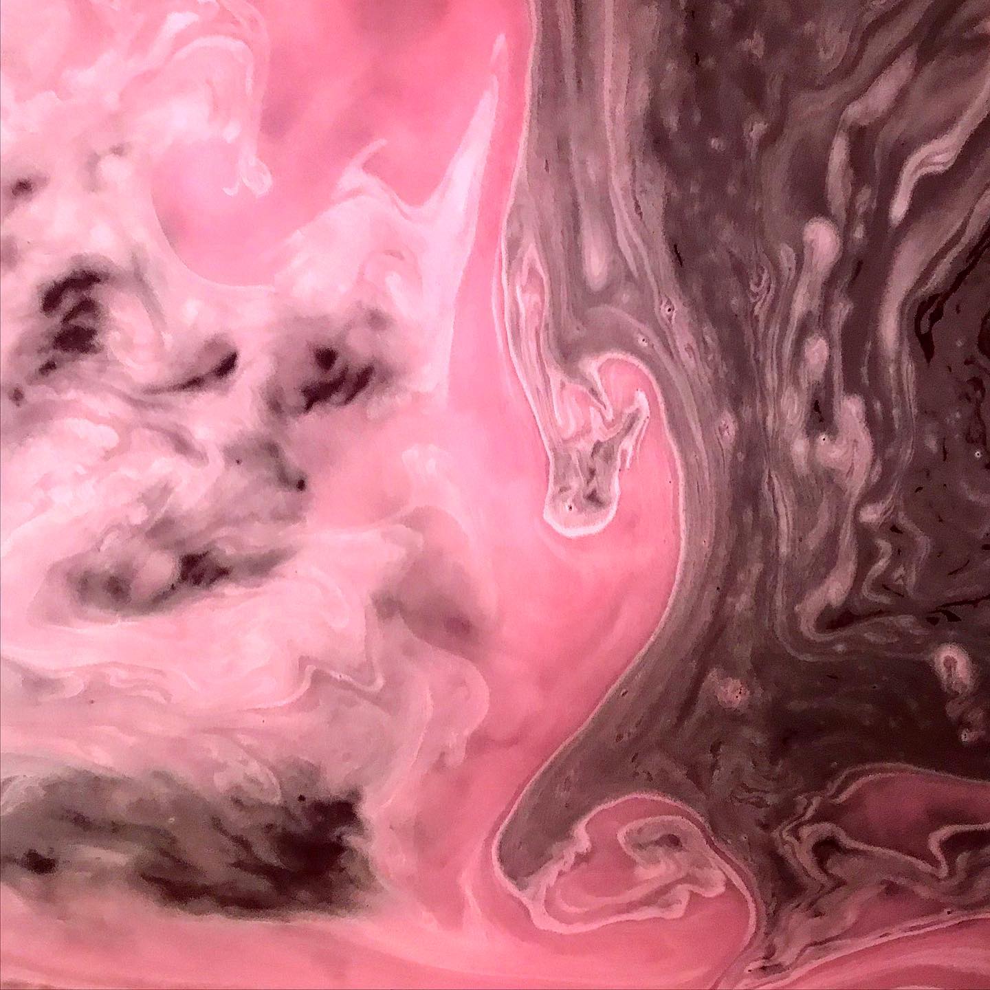 L a P o é s i e D u P i n o t N o i r
~
~
~
~
~#drinkalsace #drinkwine #alsace #alsacerocks #alsacewine #vin #vino #vindalsace #wine #winelover #winelovers #winepasion #pinotnoir #pinotnoirlover