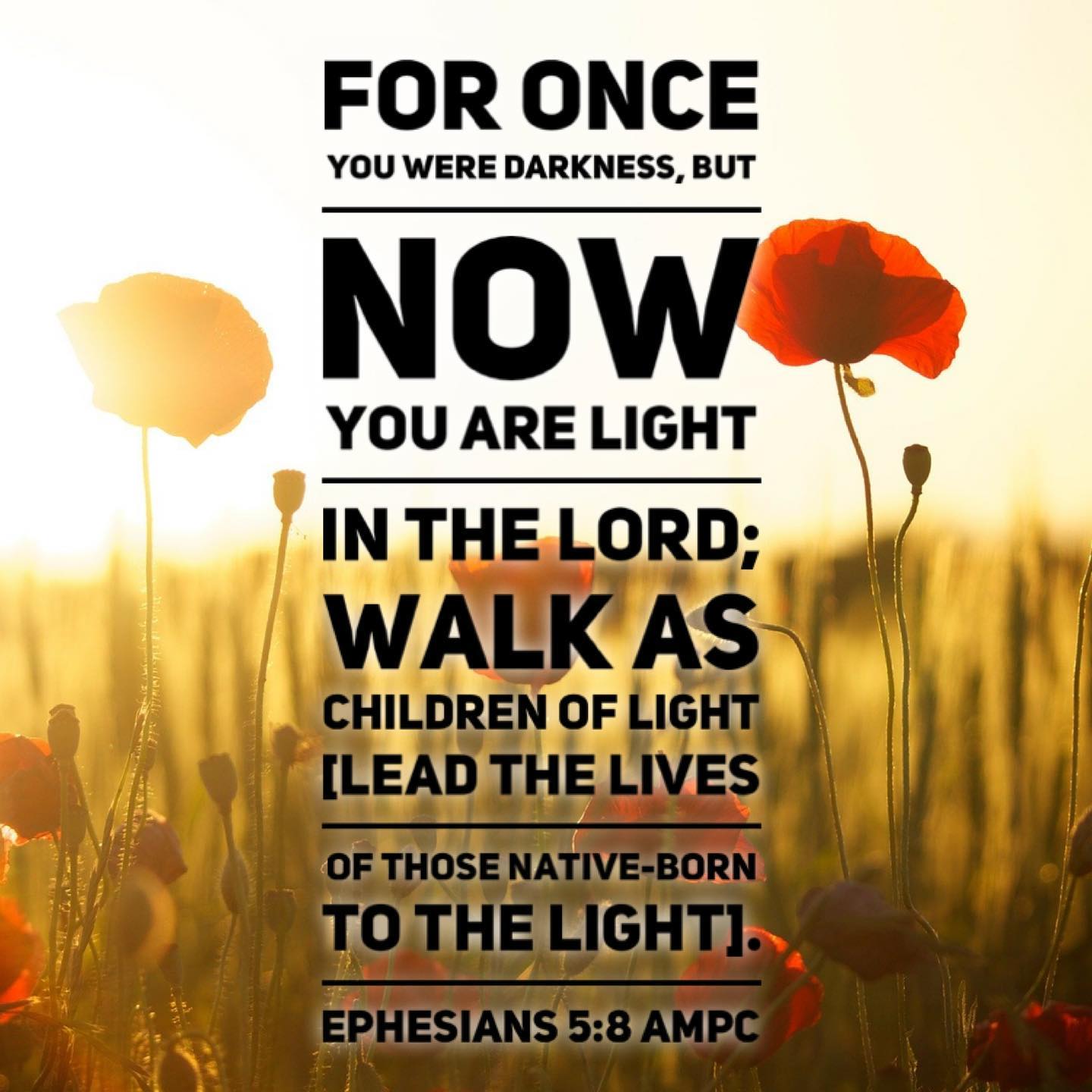 ✨ Cherishing the hope that you recognize the light in yourself and those around you today. ✨
.
#thursdaythoughts #Godisgood #Diosesbueno #pensamientosdeluz