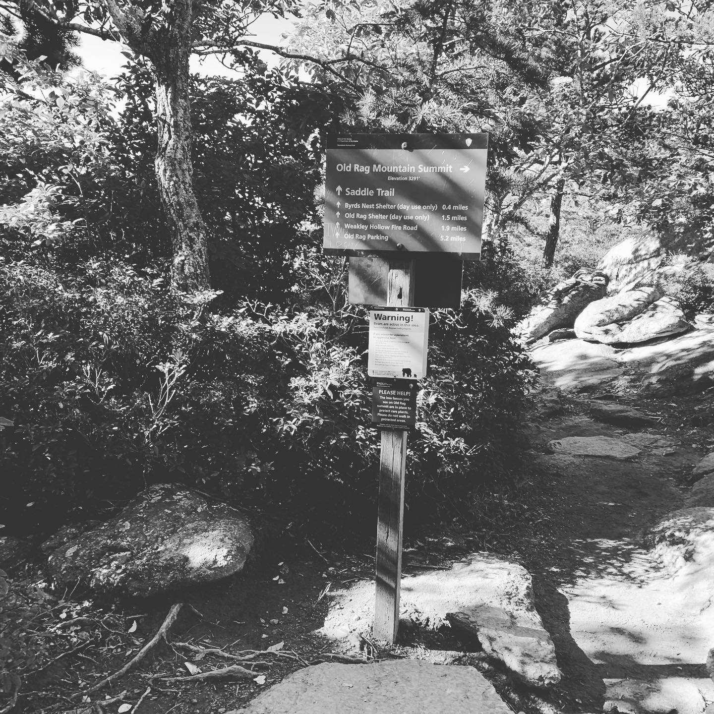 dope Sunday hike w/ @ghitz