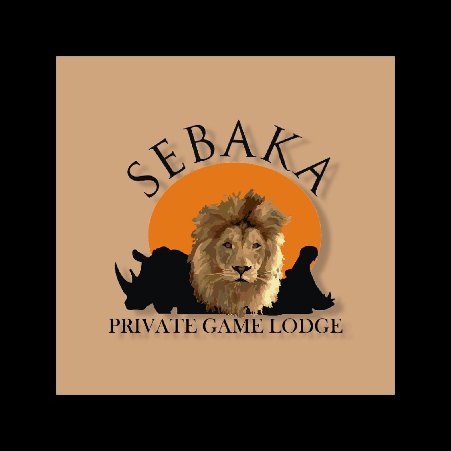SEBAKA PRIVATE GAME LODGE : “THE ULTIMATE BUSH EXPERIENCE”
Check out our story for specials and updates.
#ultimatebushexperience #sebakaprivategamelodge #africansafari #safari #southafrica #mpumalanga #bushsafari #experienceafrica #bushlife