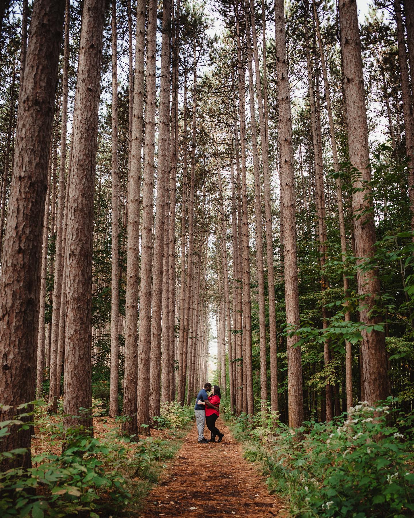 Loveeeee! #rochesternyphotographer #rochesternyengagementphotographer #couplessession #love #talltrees #enchanted