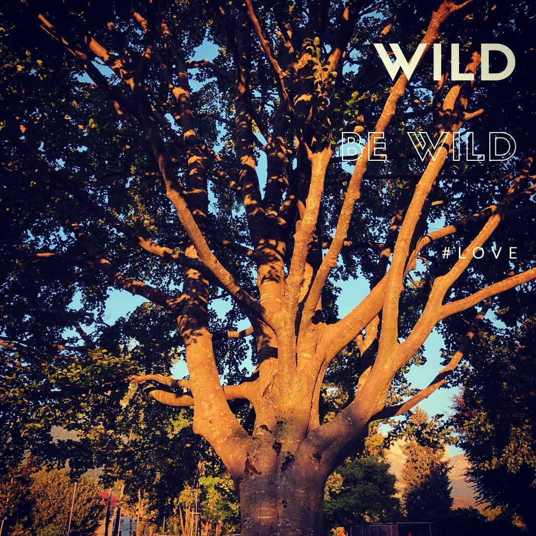 Be wild #bewildandfree #loveyourself
