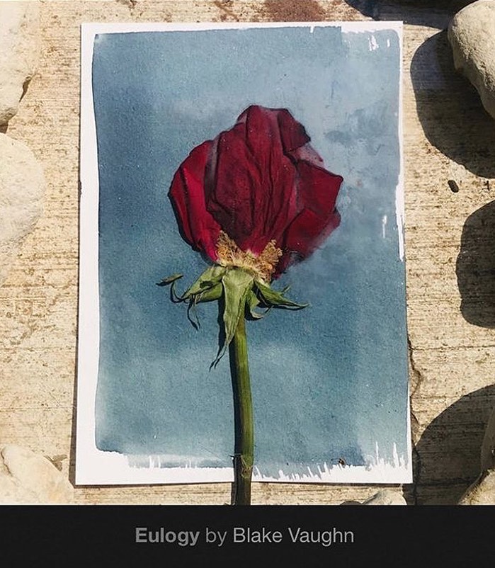 New single from @davidblakevaughn recorded and mixed here! Available on @bandcamp and all the streaming services. Mastered by Garrett Haines at @treeladystudios.
#blakevaughn #dentonmusic #dfwmusic #newrelease #rockandroll #indierock