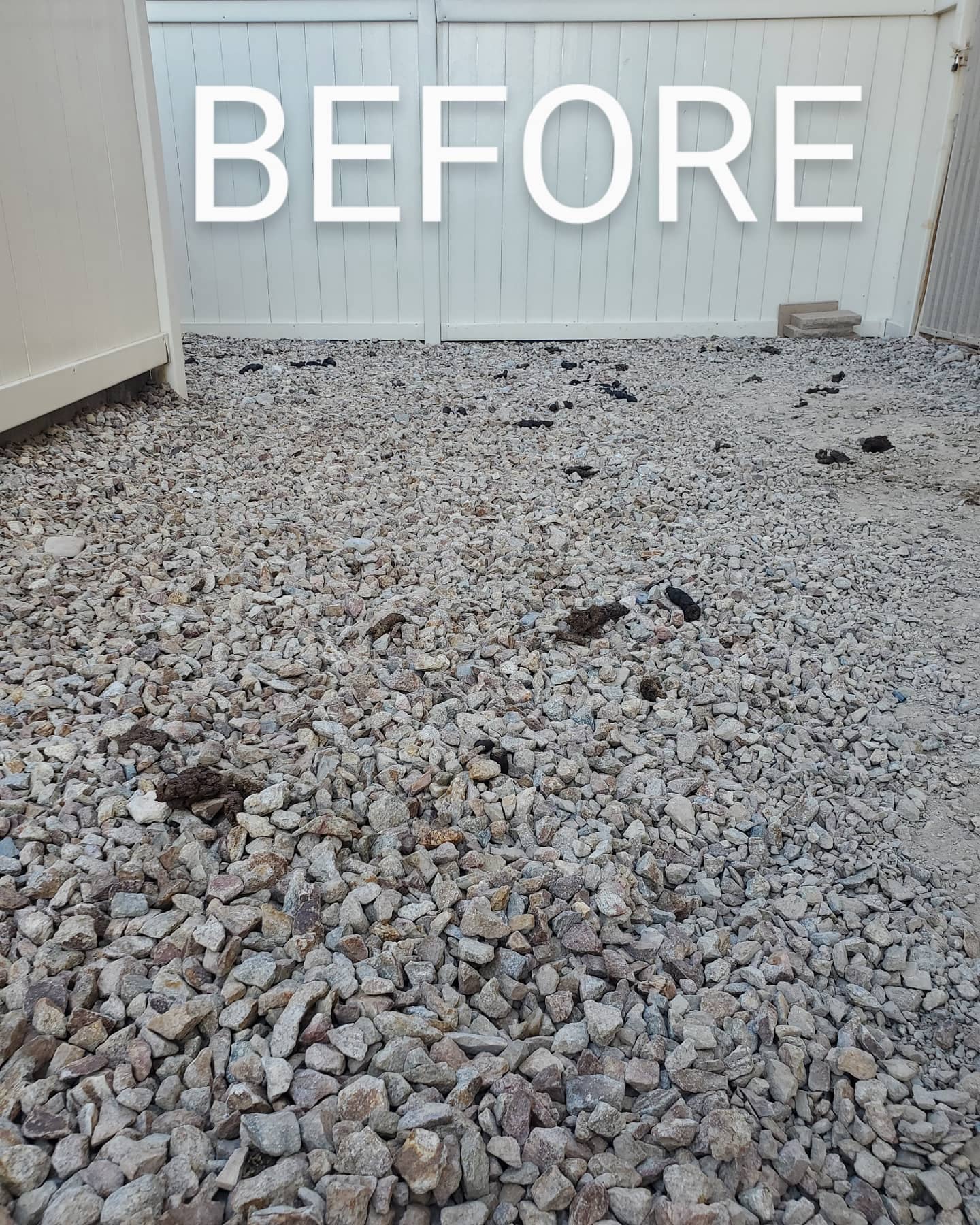 Don't just throw it away TURD IT AWAY!
• Eco-Friendly pooper scooper service • Complete Dog Waste Clean Up & Haul Away
• Scent Relief
• Biodegradable products
• Fecal matter testing (optional)
Call now for a #freeestimate #7024620050 #pooperscooperservice #turditaway #fecalmatter #poop #dogpoop #catpoop #poopoo #caca #turd #haulaway #cleanyard #healthy #feces #environmentalhealth #cleanenvironment