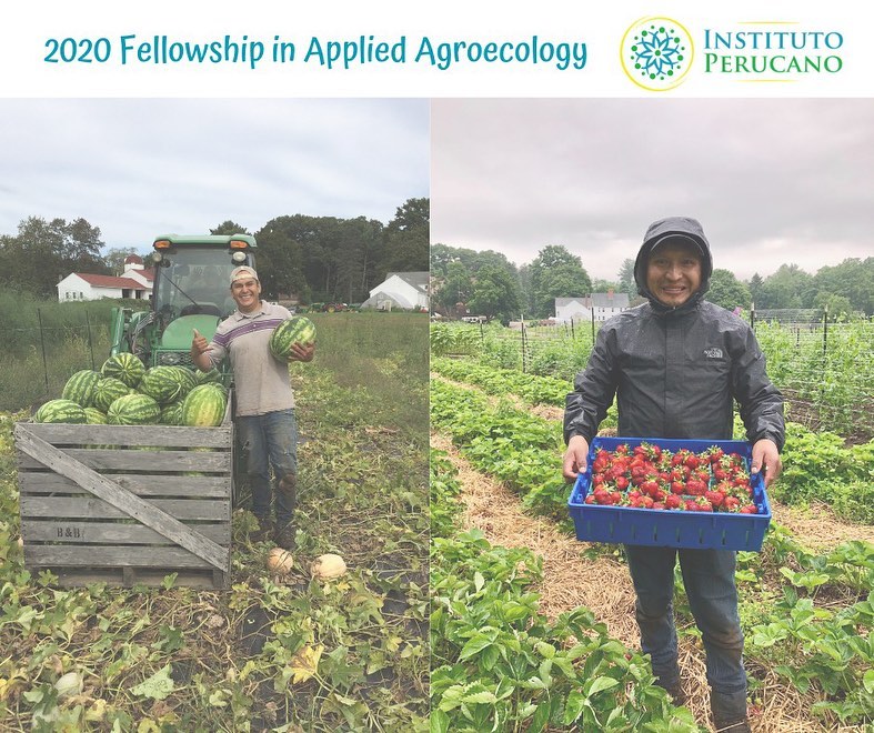 Más de 30 jóvenes de diferentes regiones del país participaron durante los meses de marzo a diciembre 2020 del Primer Fellowship de Agroecología Aplicada, financiado por la @usembassyperu, y ejecutado por el @perucano y @mesaprogram. El proyecto final de las y los participantes se está desarrollando durante los meses de septiembre a diciembre 2020, y tiene el objetivo de brindar un servicio a la comunidad y ampliar sus conocimientos en áreas de agroecología aplicada.
Hasta hoy, las y los Fellows han compartido sus conocimiento a través de sus proyectos finales y han llegado a más de 100 personas.
También, los proyectos presentados por nuestras y nuestros participantes han pasado por evaluaciones y han sido acompañados durante su ejecución. Esperamos que luego de su versión piloto en nuestro Fellowship, podamos también acompañarlos en un escalamiento muy pronto.
Comparte o comenta este post para que el mundo conozca a los participantes del Fellowship de Agroecología Aplicada. Si deseas colaborar con el programa, participar de nuestras iniciativas o saber más, sigue nuestras redes sociales y ¡entérate más pronto!
.
.
#ojoPerucano #agroecologia #agroecology #peru #us #usembassy #appliedagroecology #agroecologiaaplicada #ODS #SDGs #professionaldevelopment