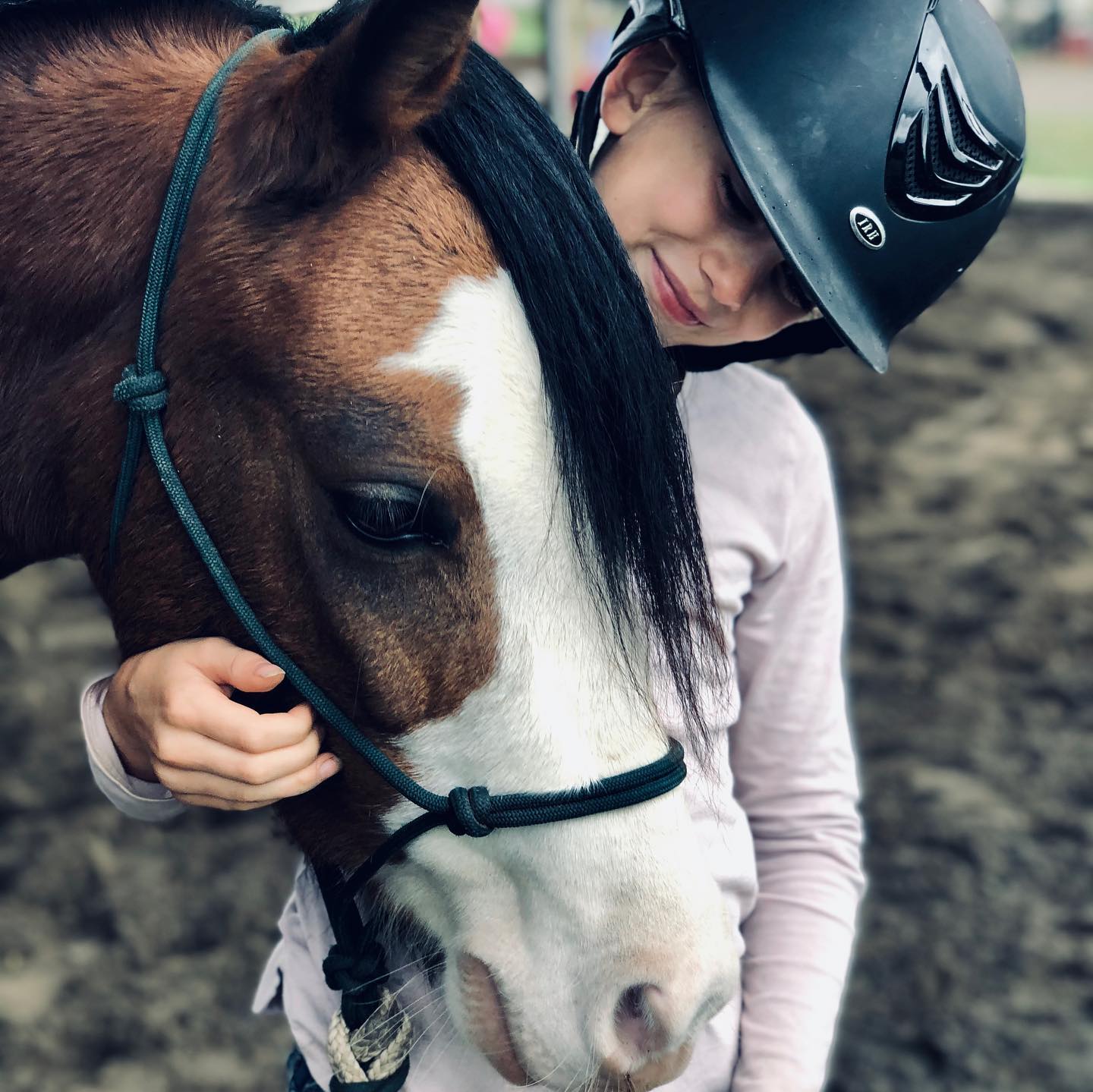 Prudy Pony and Quinlyn......................................#prettypony #ponyhunter #smallponyhunter #welshpony #ponyface #baypony #poshpony