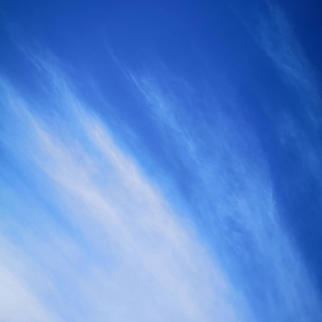 💙. Ciel d'aujourd'hui. 💙
.
Profiter emmitouflée des rayons du soleil, pour écrire méditations et cours.
Bercée par les nombreux passages de grues...
Bon voyage...
Mais revenez vite ! 🥶
...
..
.
#bleu #blue #cielbleu #bluesky #skyphotography #cielo #beautifulvibes #nature #natureshot #naturelovers #winteriscomming #lhiverarrive #brrr #couleurs #colors