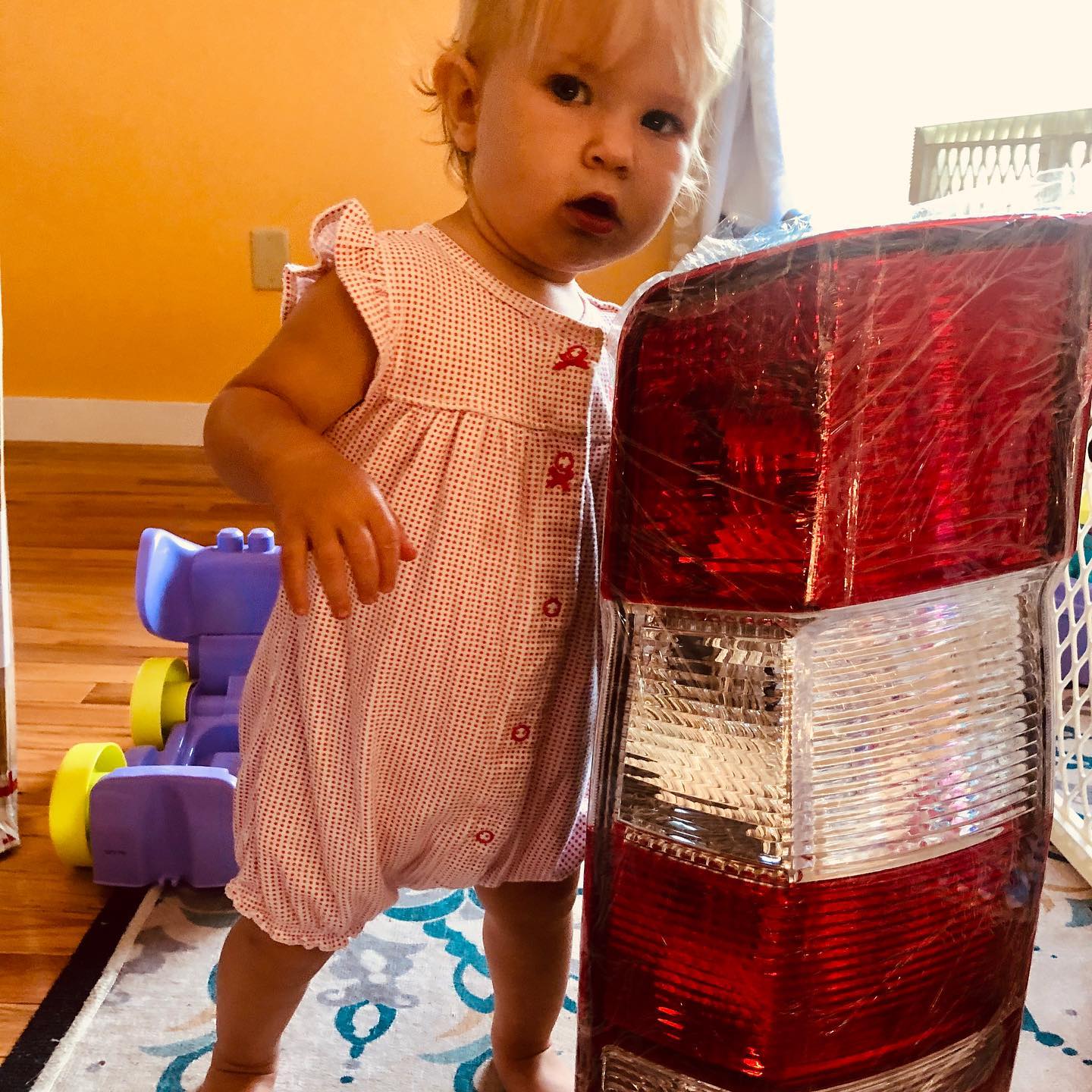 What shapes YOUR perspective?
When your new tail light is the same size as your toddler friend...and when that friend sees the world with curiosity and wonder *everyday* ...
...It can be easy to slip into the present moment, where the greatest teacher and lessons exist, and where my heart can remember gratitude and my being can embody ease.
Grateful for this time with her, and the insight and perspective I’m also finding recently in books, podcasts, and much needed time in nature.
#perspective #simplethings #findingjoy #embodimentcoach #leadership #lightnessofbeing #womenentrepreneurs #whatinspiresyou #lookingbeyond #showingup