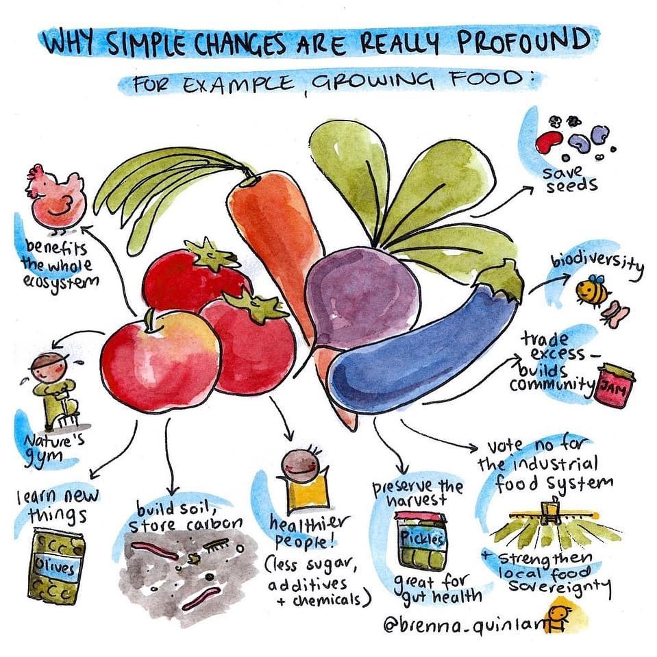 Feliz domingo - beneficios de producir su propio alimento - knowledge is power! #OjoPerucano #Perucano #Iquitos #Loreto #Peru #FoodSecurity #FoodSovereignty #foodsecurityisfreedom #Agroecology #FoodSystems