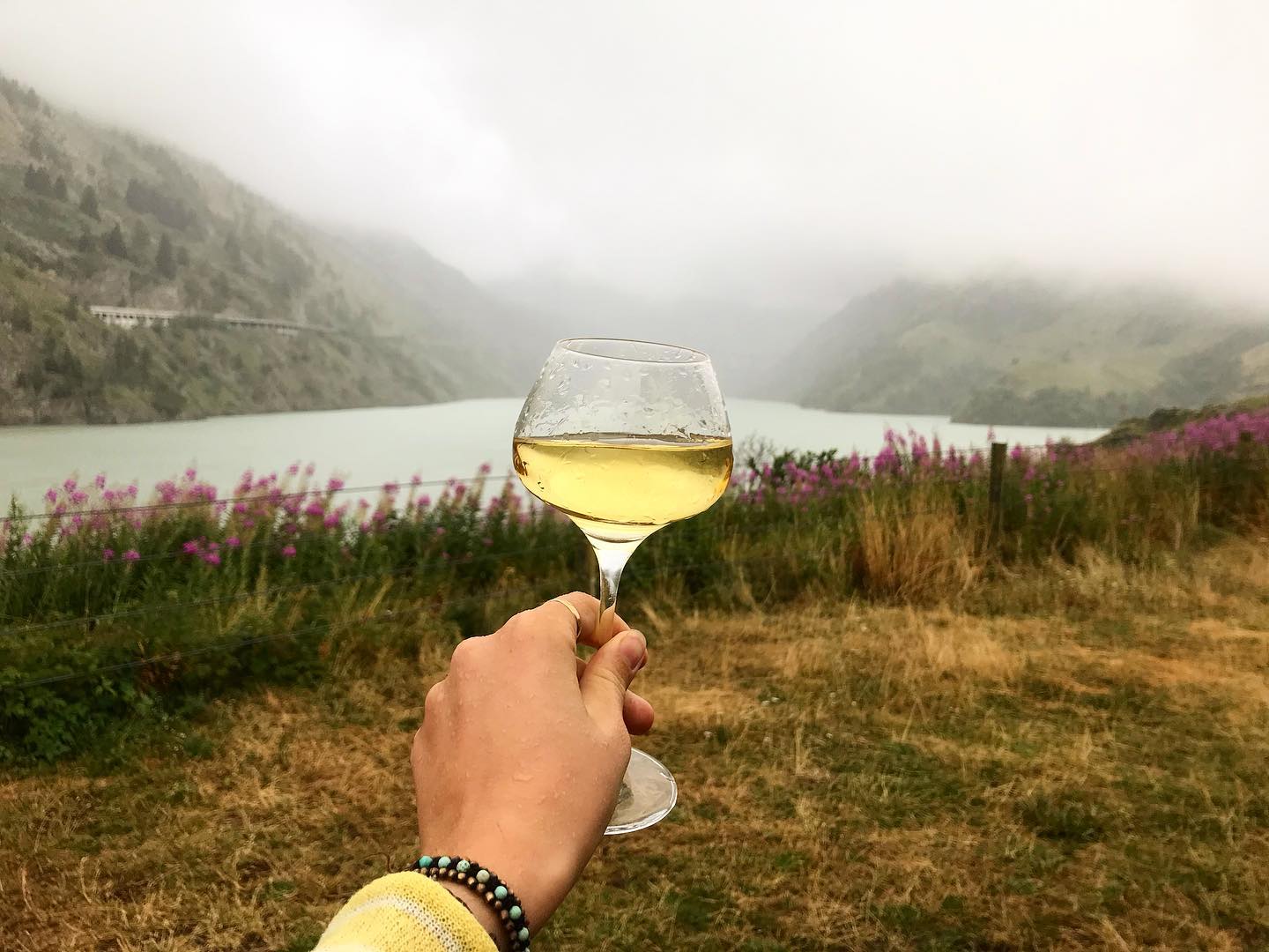 Comme un lundi au soleil ...
.
.
.
.
#pinotblanc #klevner #alsace #vindalsace #vin #wine #winelover #wineoclock #drinkalsace