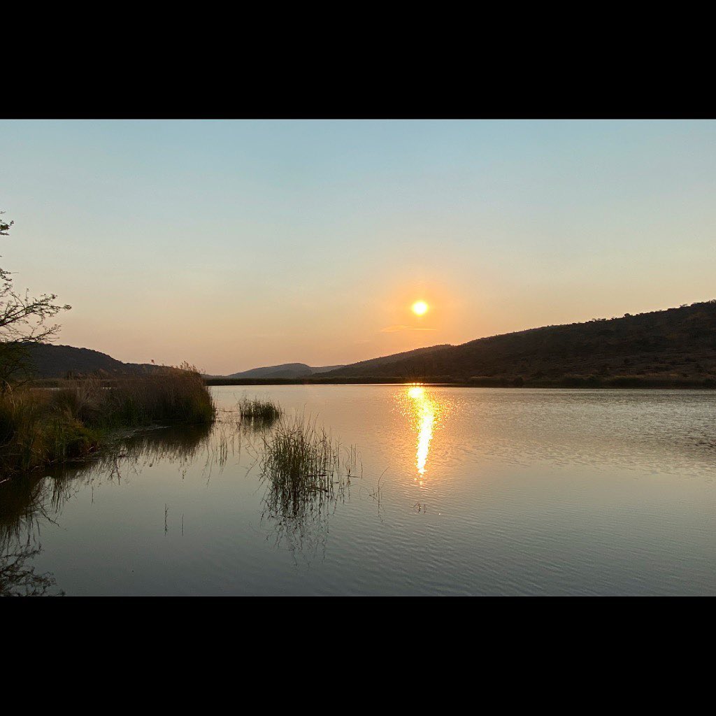 🍃Late afternoon safari provides the perfect opportunity for you to witness all the beauty at Sebaka, as it changes from day to night 🍂
To learn more about our offerings, or to make a booking enquiry simply visit www.sebakalodge.com