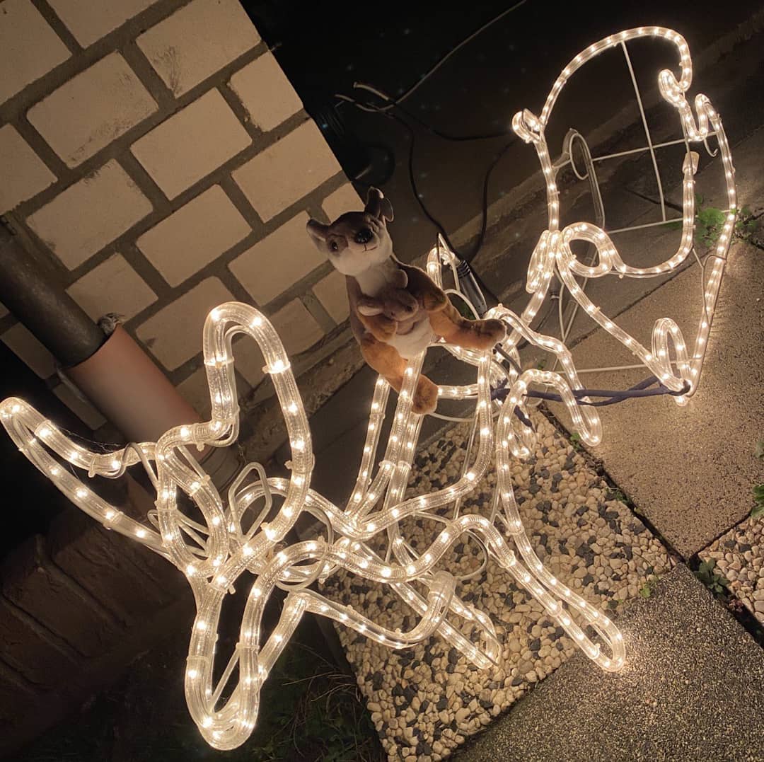 Das Jugendwerk der AWO wünscht euch allen einen schönen ersten Advent 🕯
Bleibt Gesund