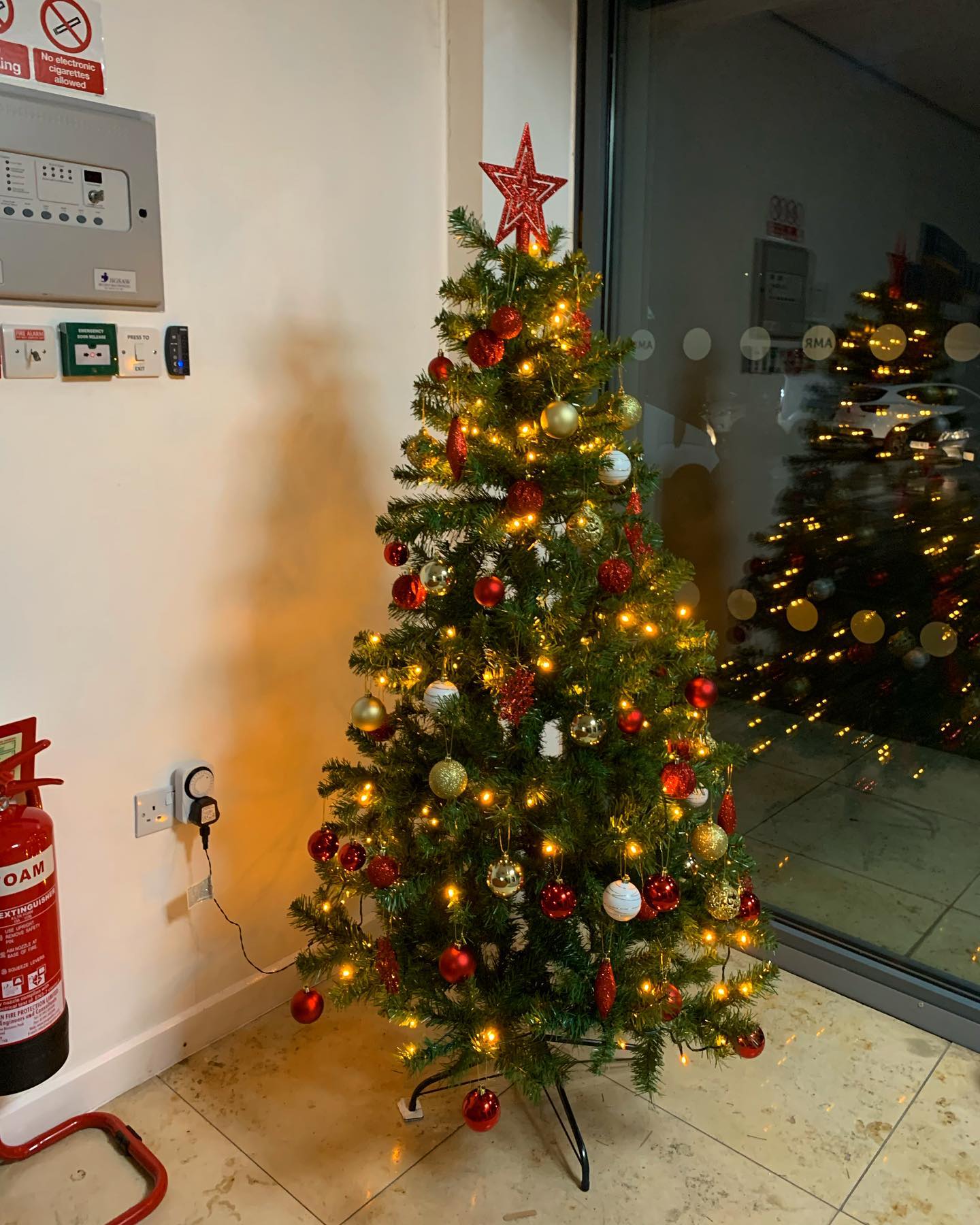 The AMR office is ready for the most wonderful time of the year 🎄
