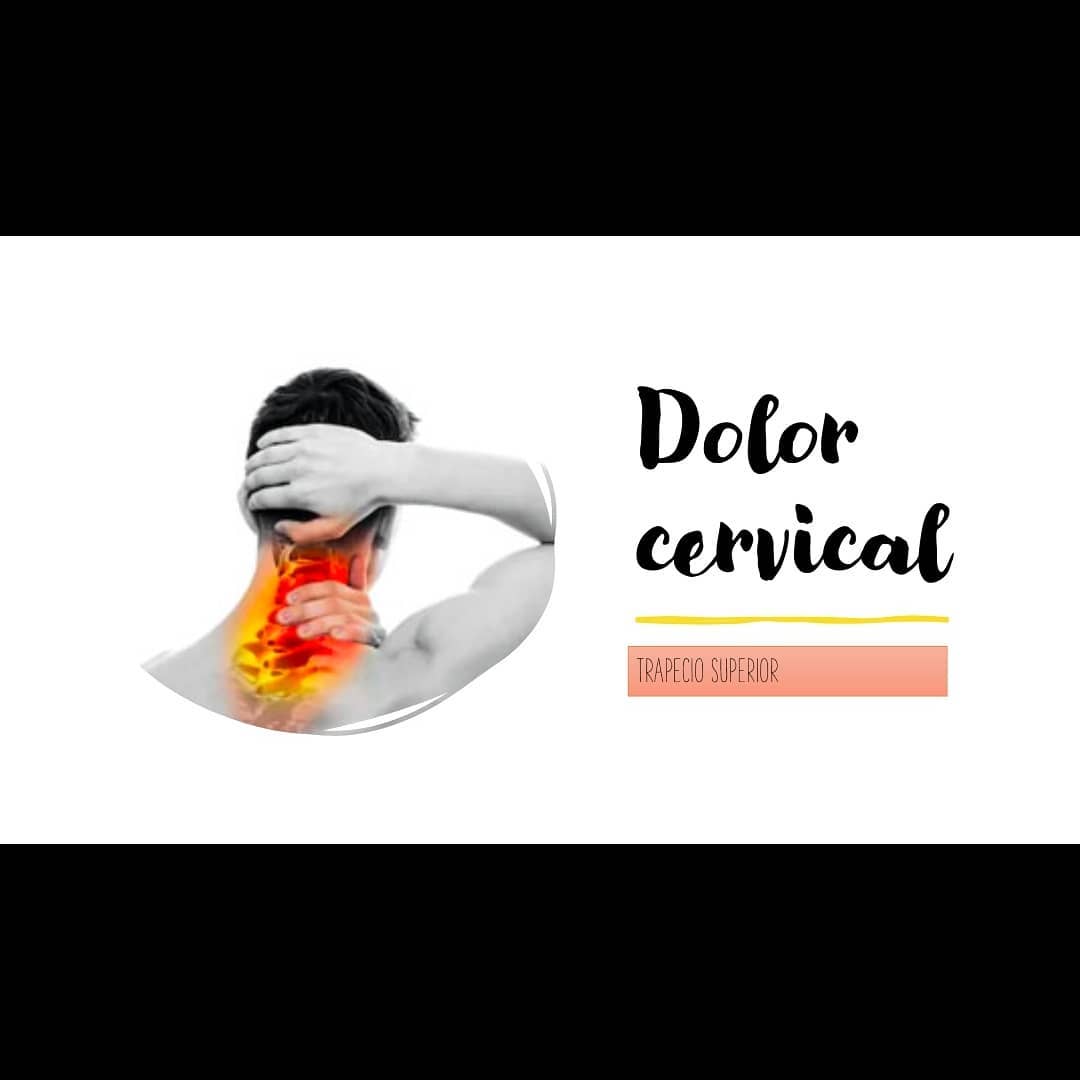 El dolor de cabeza puede tener diferentes fuentes de origen, una de ellas puede ser una alteración a nivel musculoesqueletico. Es decir, tu dolor de cabeza/cefalea podría ser ocasionado por un PROBLEMA MUSCULAR y por tanto, tener una solución más FÁCIL de la que piensas🤯.
Hoy te dejo una pequeña muestra informativa sobre uno de los músculos más famosos en relación con el DOLOR CERVICAL / CEFALEA🤕.
Aprende un poco más acerca de el mismo y algunos consejos que te podrían ayudar a mejorar si presentas ese problema‼️
✅No dudes en ponerte en contacto con tu PROFESIONAL DE CONFIANZA si es tu caso, seguro que te puede ayudar.
Si tienes DUDAS acerca de tu SITUACIÓN PARTICULAR y te gustaría saber más acerca del tema, no dudes en CONTACTARME. Te ayudaré a resolverlas GRATIS y te asesoraré sobre como puedes solucionar tus problemas📥.
#fisioterapia #lesiones #dolor #cervicales #cefalea #migraña #muscular #recuperacion #rehabilitación #entrenamiento #soluciones #fisioterapeuta #deporte #neurologia #dosrius #canyamars #canmassuet #mataro #argentona #granollers #llinarsdelvalles #cardedeu