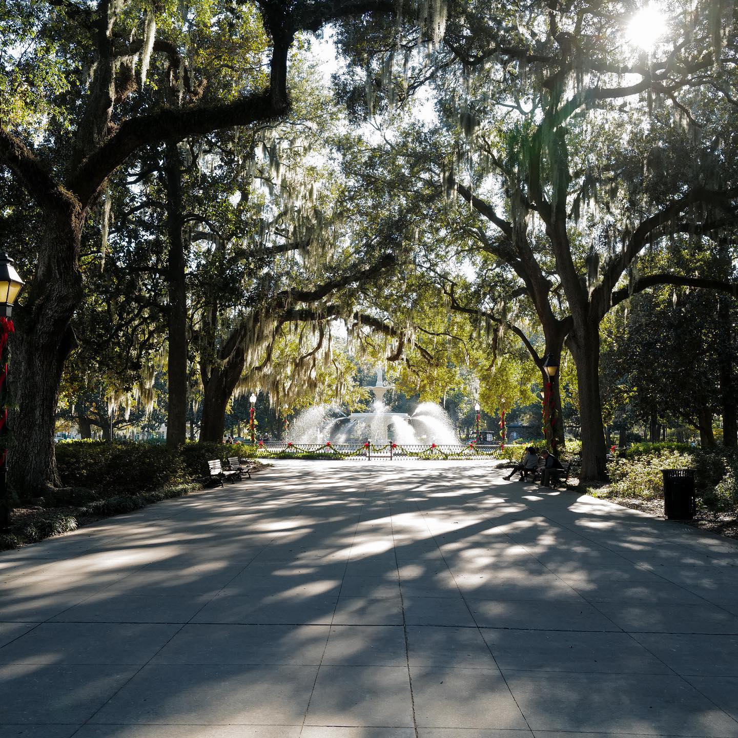 Savannah is so incredibly GREEN. Wish I had known about SCAD when I was considering colleges back in the day...