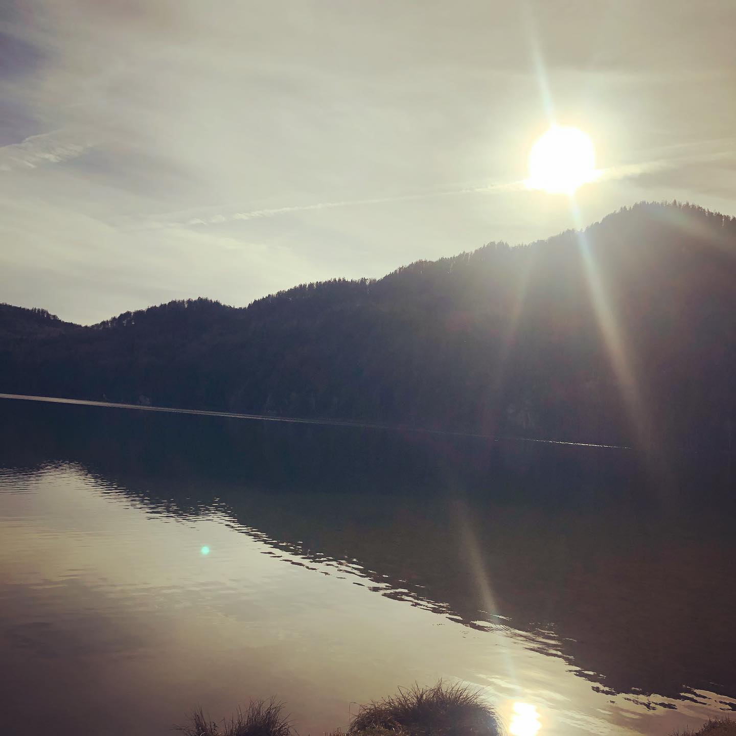 Happy 4. Advent... zwar ohne Schnee trotzdem zauberhaft. 💚☀️